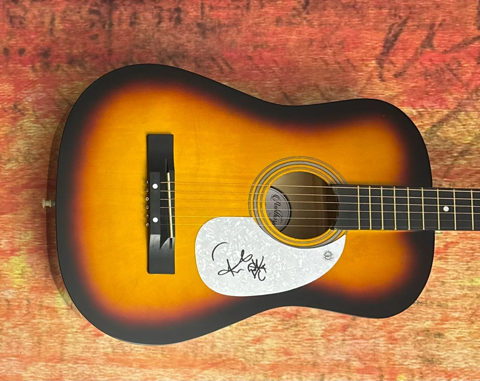 GFA Tape Deck Heart Recovery * FRANK TURNER * Signed Acoustic Guitar PROOF COA, изображение 2