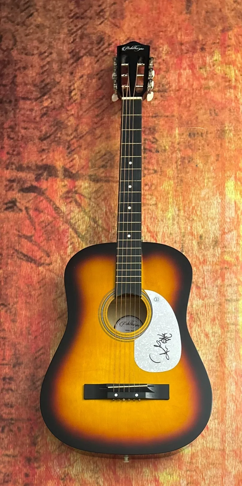 GFA Tape Deck Heart Recovery * FRANK TURNER * Signed Acoustic Guitar PROOF COA, изображение 4