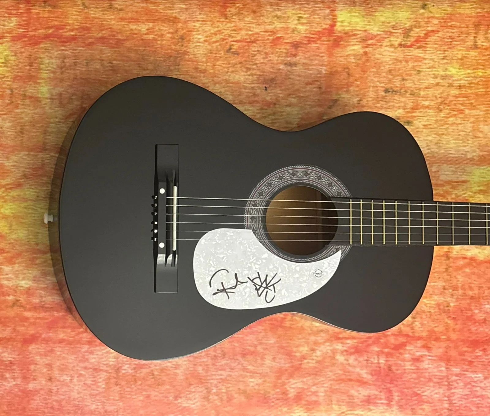 GFA Tape Deck Heart Recovery * FRANK TURNER * Signed Acoustic Guitar PROOF COA, image 2
