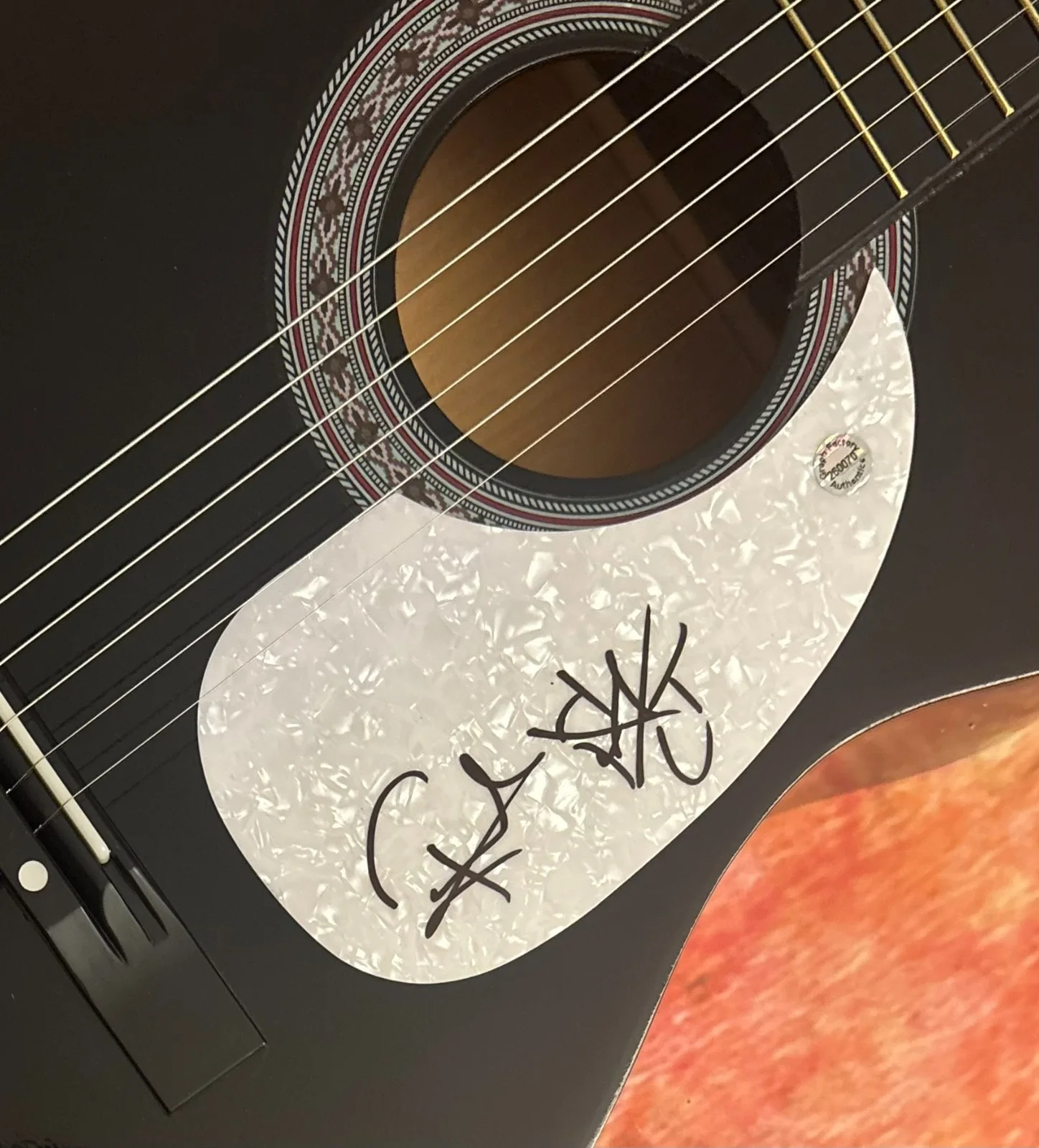 GFA Tape Deck Heart Recovery * FRANK TURNER * Signed Acoustic Guitar PROOF COA, image 4