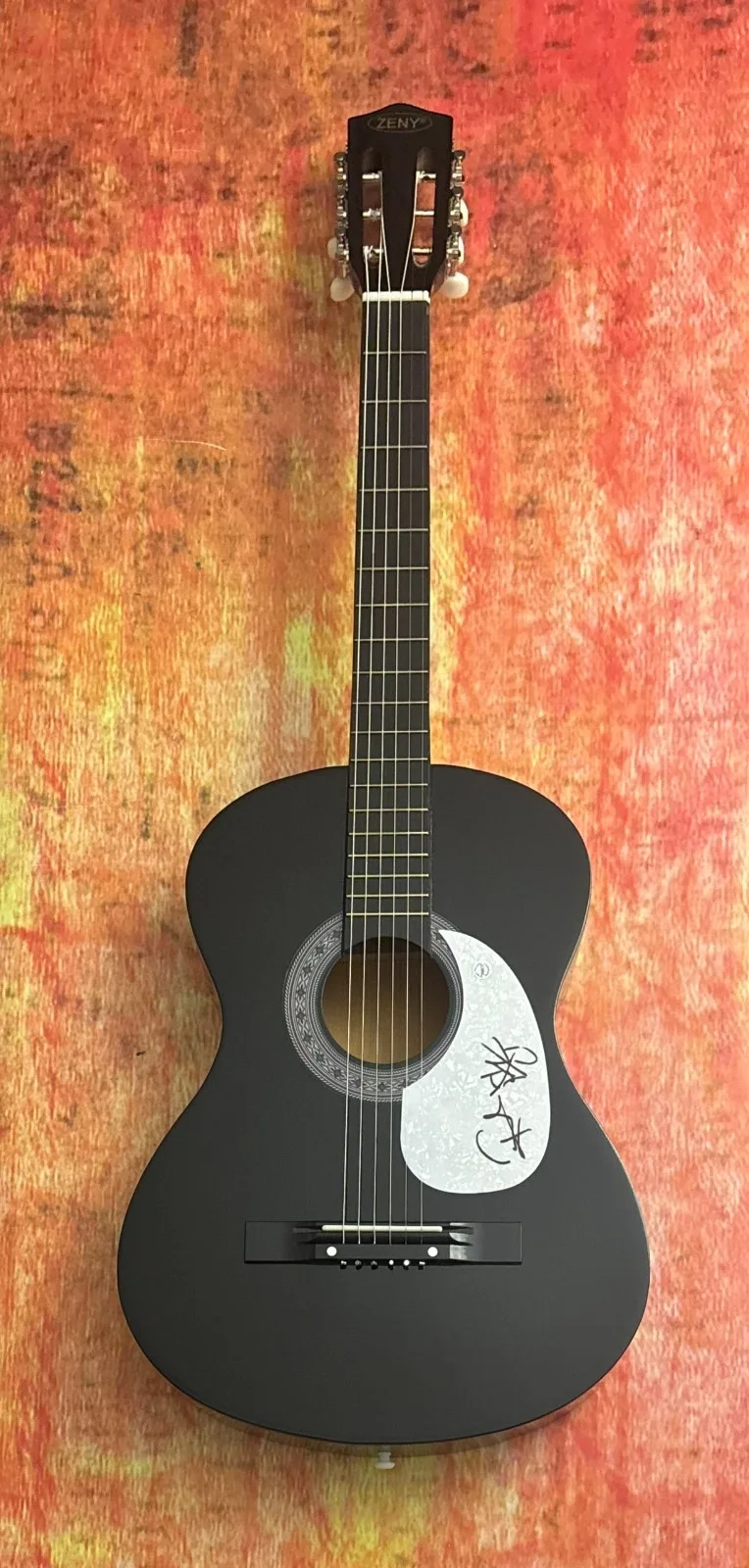 GFA Tape Deck Heart Recovery * FRANK TURNER * Signed Acoustic Guitar PROOF COA, image 5