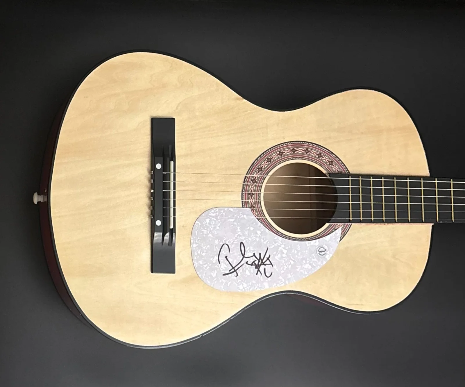 GFA Tape Deck Heart Recovery * FRANK TURNER * Signed Acoustic Guitar PROOF COA, image 2