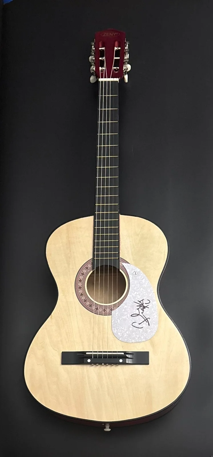 GFA Tape Deck Heart Recovery * FRANK TURNER * Signed Acoustic Guitar PROOF COA, image 4
