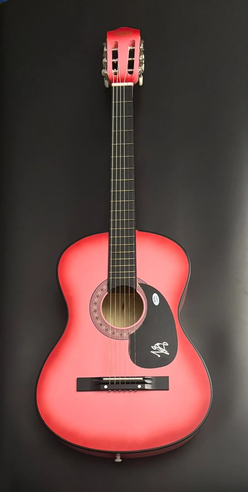 PSA Things a Man Oughta Know Star * LAINEY WILSON * Signed Acoustic Guitar COA, image 4