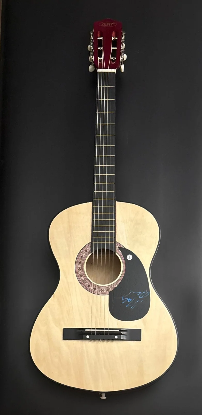 GFA Crooked Tree Dooleys Farm * MOLLY TUTTLE * Signed Acoustic Guitar PROOF COA, image 2