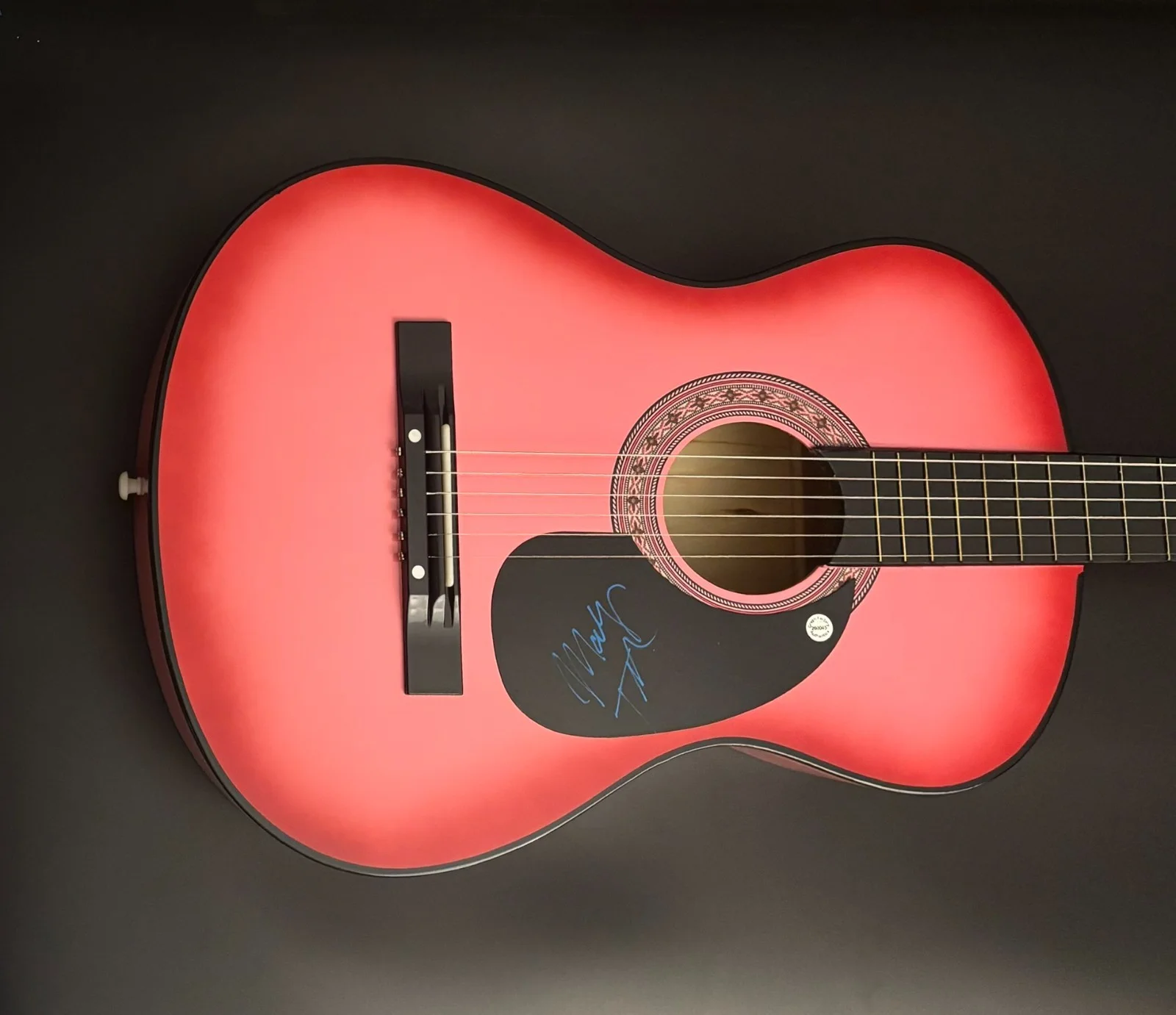 GFA Crooked Tree Dooleys Farm * MOLLY TUTTLE * Signed Acoustic Guitar PROOF COA, image 2