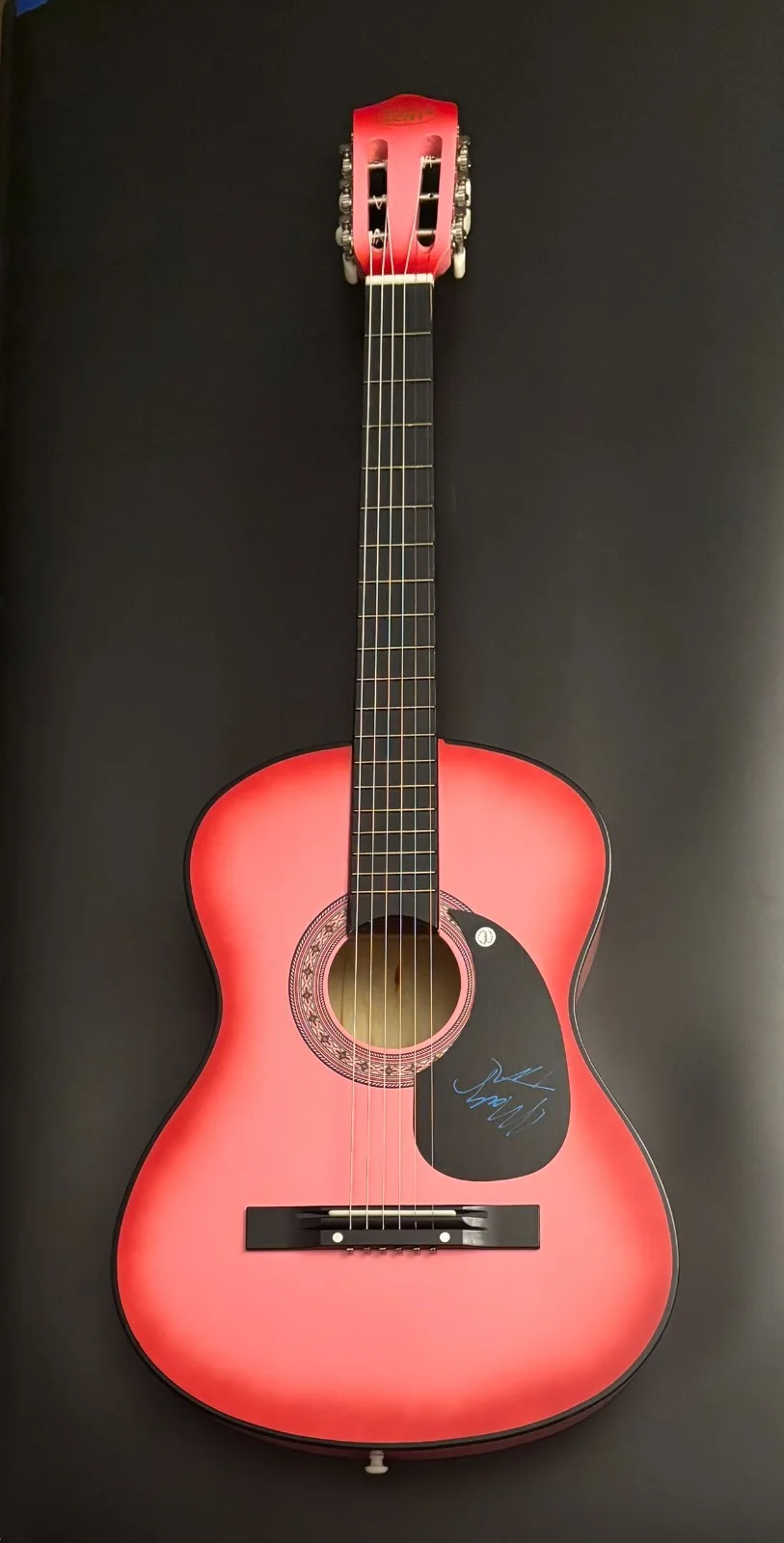 GFA Crooked Tree Dooleys Farm * MOLLY TUTTLE * Signed Acoustic Guitar PROOF COA, image 4