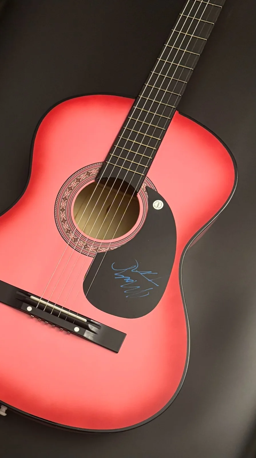 GFA Crooked Tree Dooleys Farm * MOLLY TUTTLE * Signed Acoustic Guitar PROOF COA, image 5