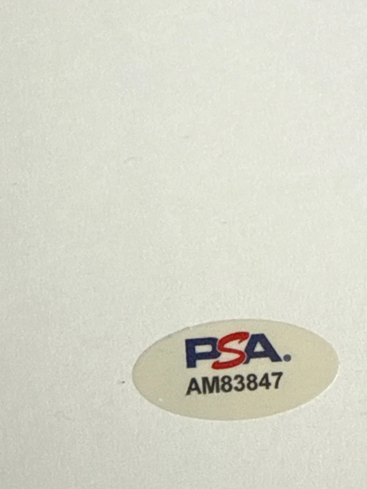 Judd Apaton — Judd Apaton Signed 8x10 The 40 Year Old Virigin Script Cover Only PSA AM83847, изображение 2