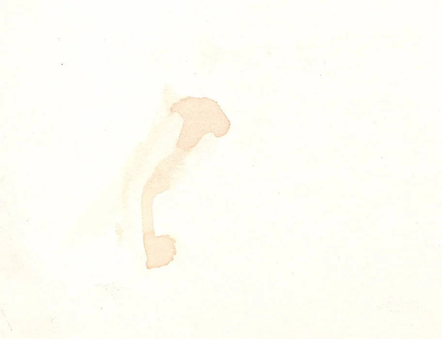 Harry King Cole — Harry King Cole (Hee-Haw) Signed 8.5x8.5 Sketch - JSA Authentication (1), image 5