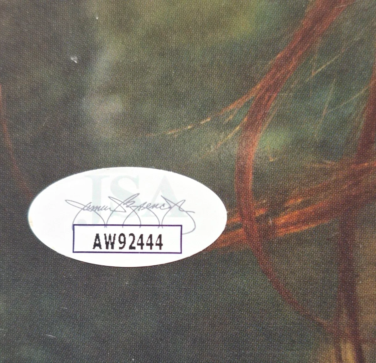 LANA DEL REY SIGNED AUTOGRAPH PARADISE ALBUM VINYL NORMAN ROCKWELL RARE JSA COA, изображение 3
