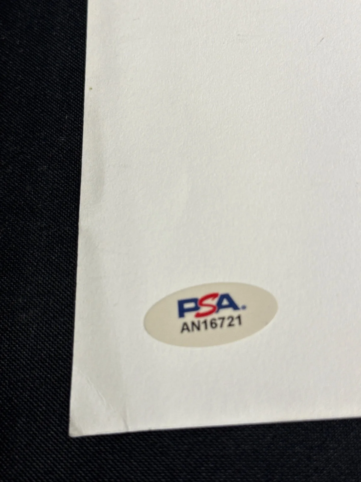 Dan Mintz — Dan Mintz Signed 8x10 Bob's Burgers Script Cover Only PSA AN16721, image 2