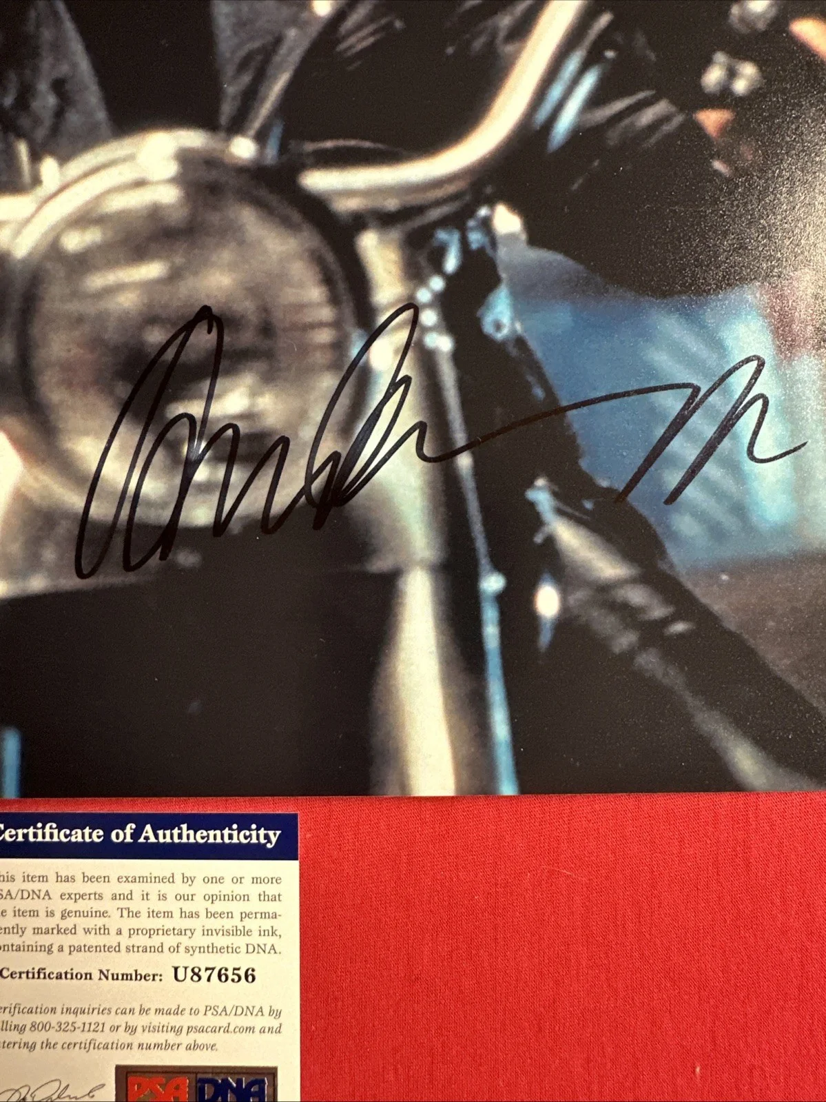 Arnold Schwarzenegger — Arnold Schwarzenegger Terminator T2 11 X 14 Autograph Psa, image 2