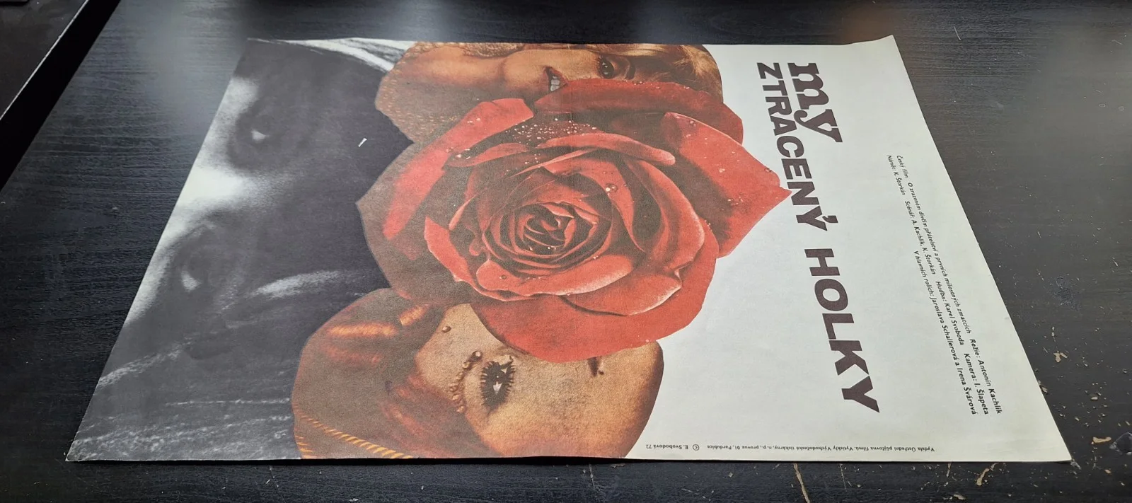 WE, THE LOST GIRLS, JAROSLAVA SCHALLEROVA, A3 CZECH MOVIE POSTER, EVA SVOBODOVA, изображение 2