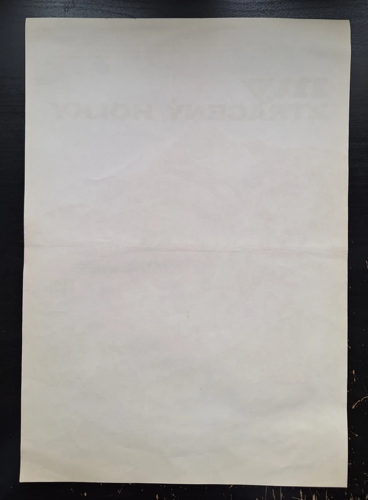 WE, THE LOST GIRLS, JAROSLAVA SCHALLEROVA, A3 CZECH MOVIE POSTER, EVA SVOBODOVA, изображение 3