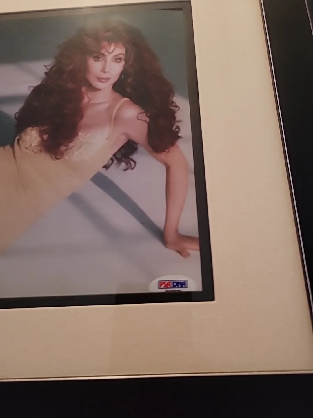 Cher Autographed Signed 8x10 Photo Certified Authentic PSA/DNA., image 3