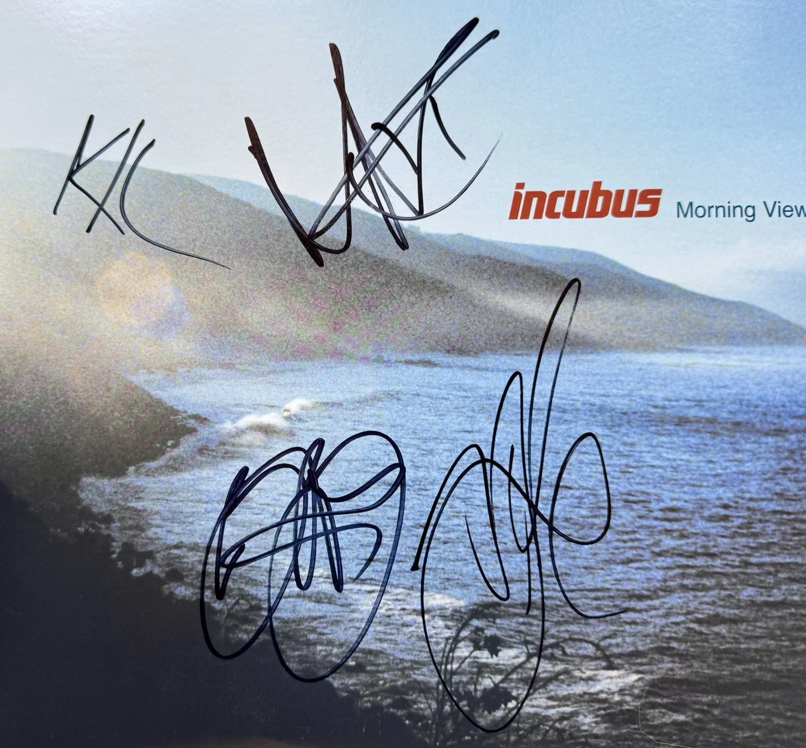 BRANDON BOYD INCUBUS HAND SIGNED AUTOGRAPHED VINYL ALBUM LP +JSA COA 4 MEMBERS, изображение 3
