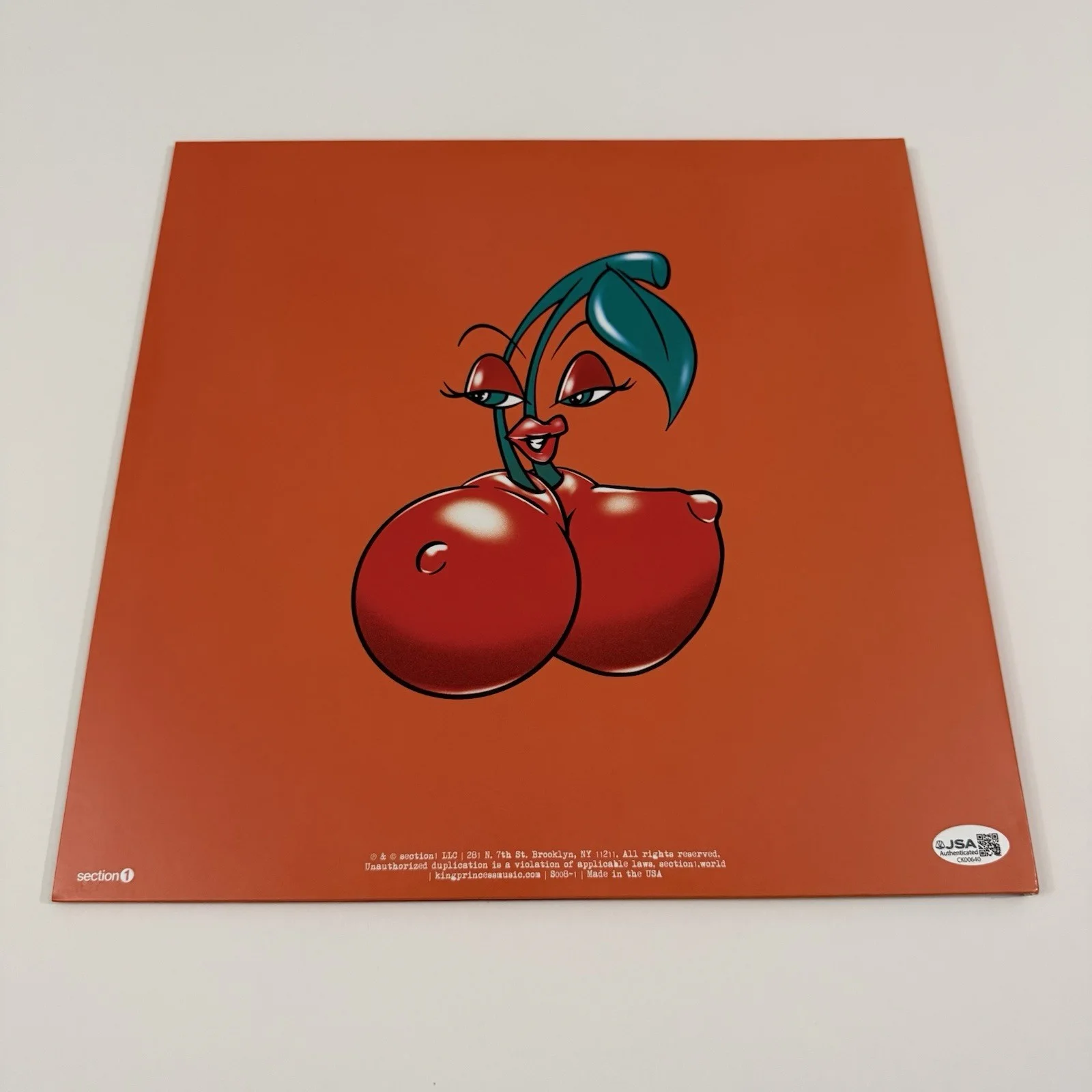 KING PRINCESS SIGNED GIRL VIOLENCE VINYL RECORD AUTOGRAPHED JSA COA, изображение 3