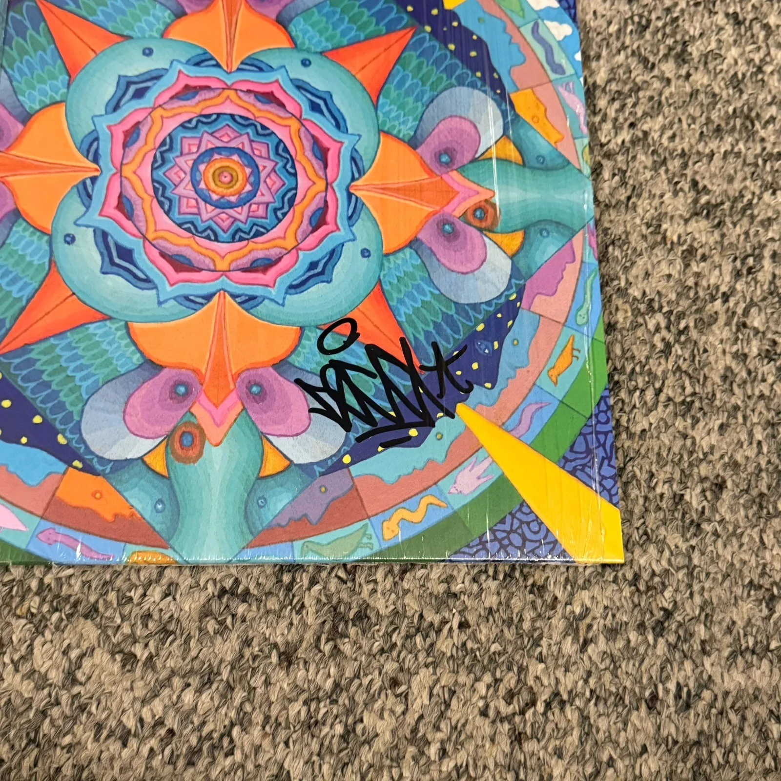 DECA SIGNED SNAKES AND BIRDS RECORD (MYSTIC BLUE GALAXY VINYL), изображение 2