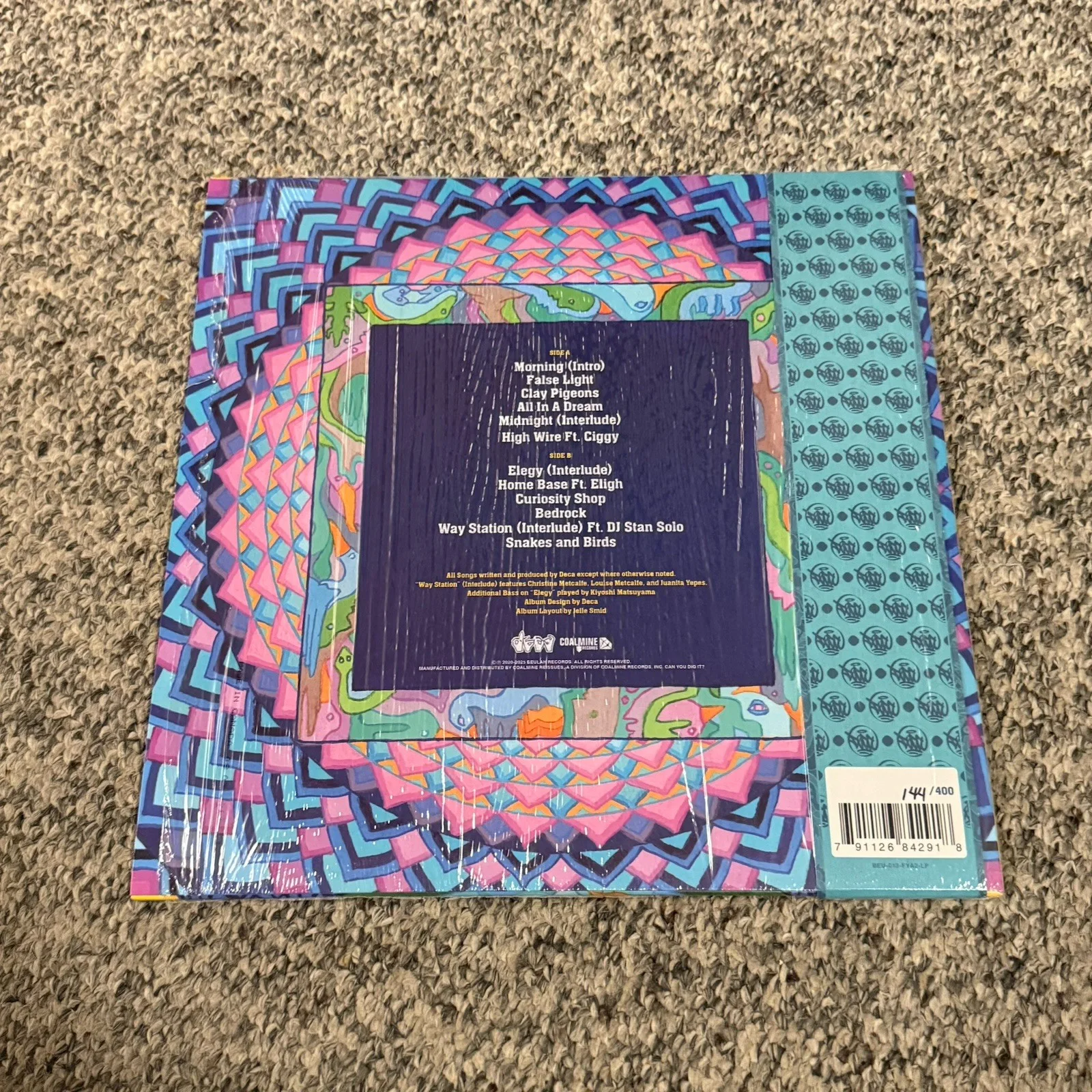 DECA SIGNED SNAKES AND BIRDS RECORD (MYSTIC BLUE GALAXY VINYL), изображение 3