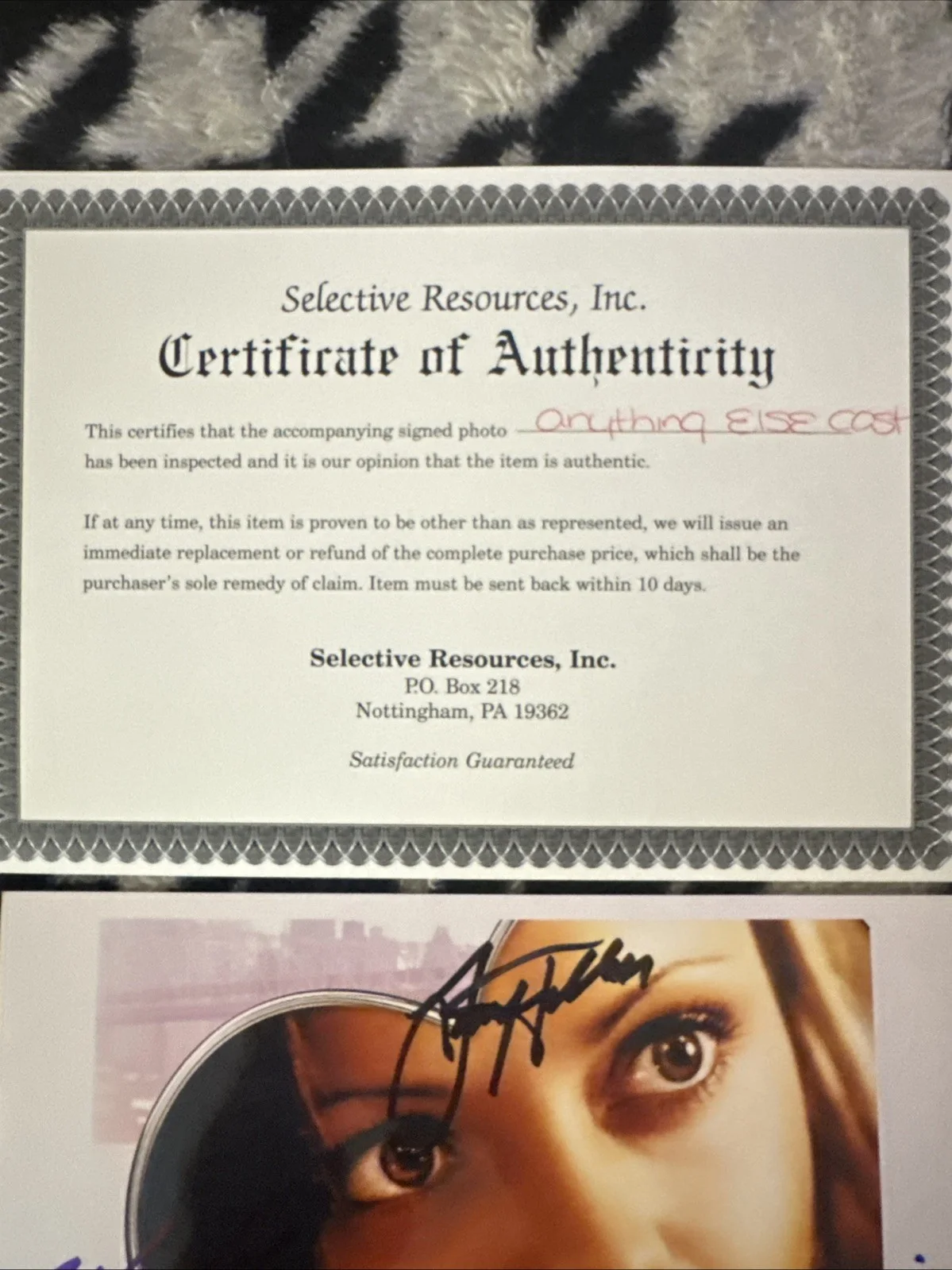Woody Allen/Jason Biggs/Danny DeVito/Jimmy Fallon/Christina Ricci — Authentic Signed Anything Else (2003) Woody Allen 8x10 Poster Photo, изображение 2