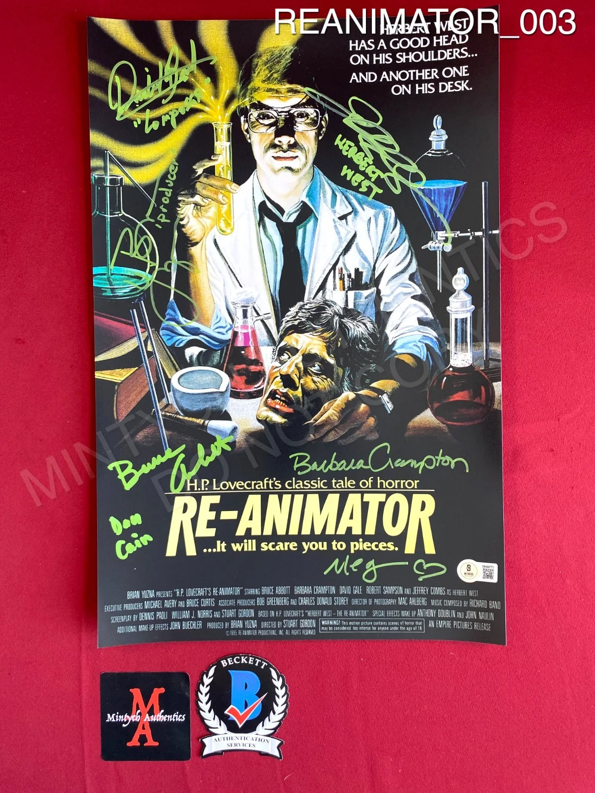 Bruce Abbott, Barbara Crampton, Jeffrey Combs, Brian Yuzna, Band — Re-Animator cast signed 11x17 photo Beckett Barbara Crampton Combs Abbott
