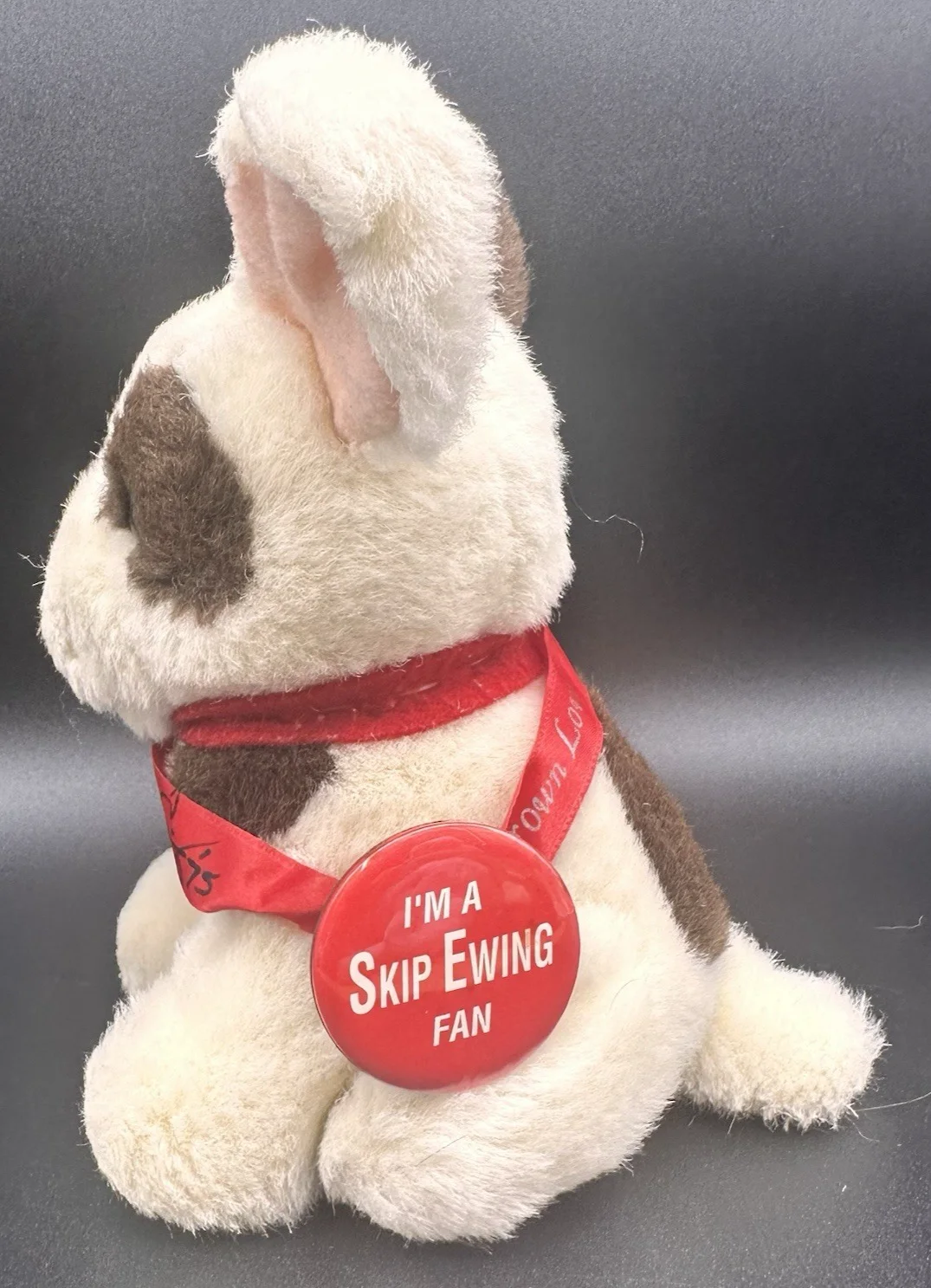 1975 Skip Ewing Autographed Ribbon and Button Pin with Plush Dog Homegrown Love, изображение 2