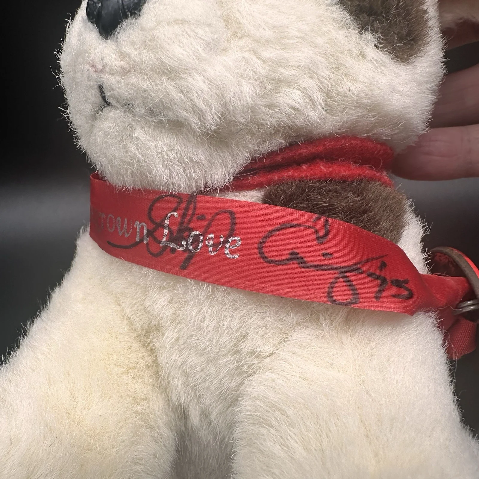 1975 Skip Ewing Autographed Ribbon and Button Pin with Plush Dog Homegrown Love, изображение 4
