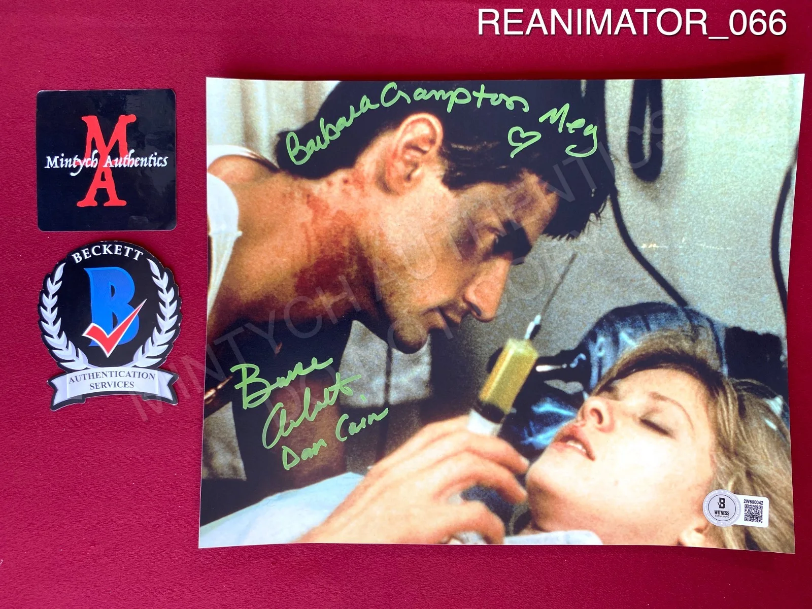 Bruce Abbott, Barbara Crampton — Bruce Abbott Barbara Crampton signed 8x10 photo Re-Animator Beckett COA