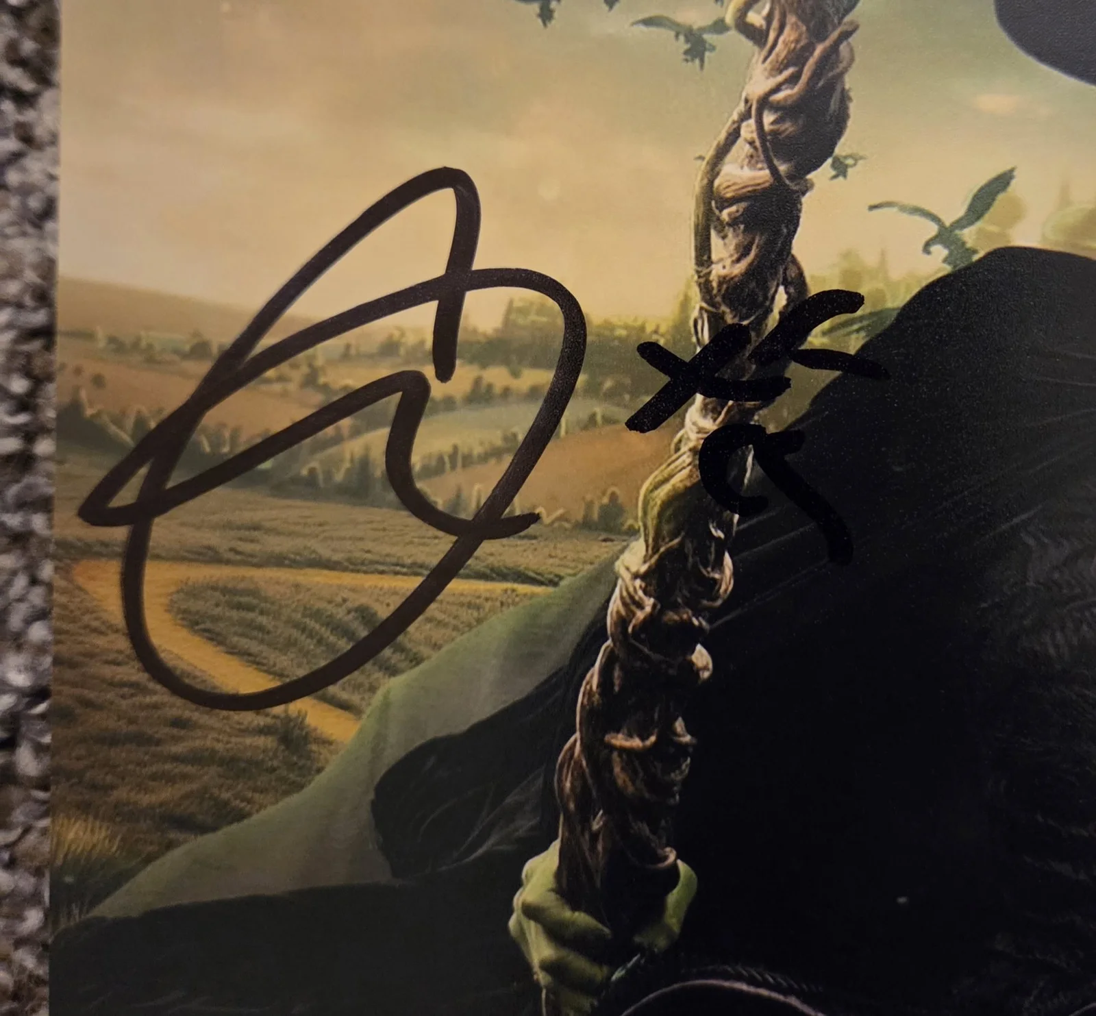 Dax — CYNTHIA ERIVO - 8x10 Signed Autograph Auto Photo Wicked Beckett BAS, изображение 3