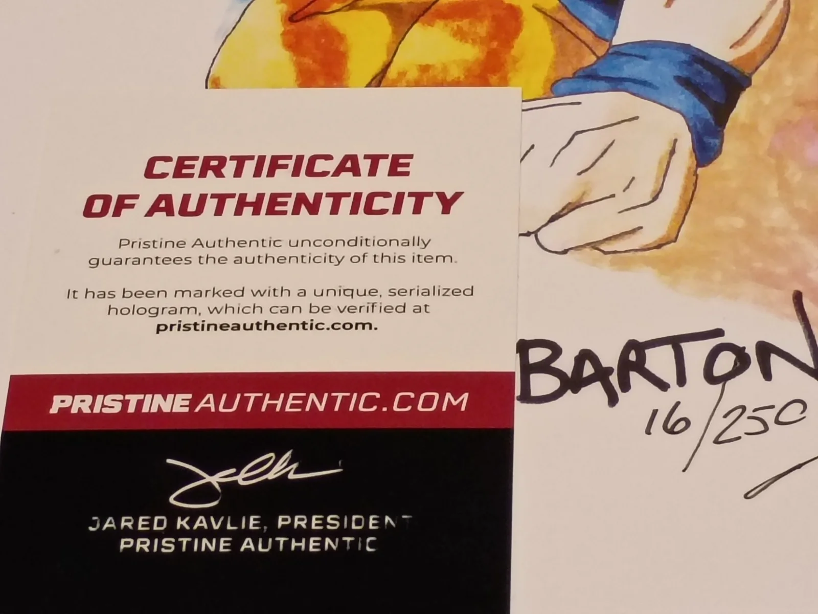 Brian Barton — BARTON BRIAN Signed Dragon Ball Z 'GUKO' 12x18 LE Lithograph 16/250-Pristine COA, image 3