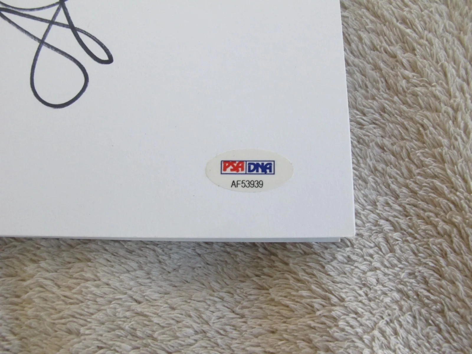 Milla Jovovich — Milla Jovovich SIGNED Script ~ RESIDENT EVIL ~ PSA / DNA COA, image 2