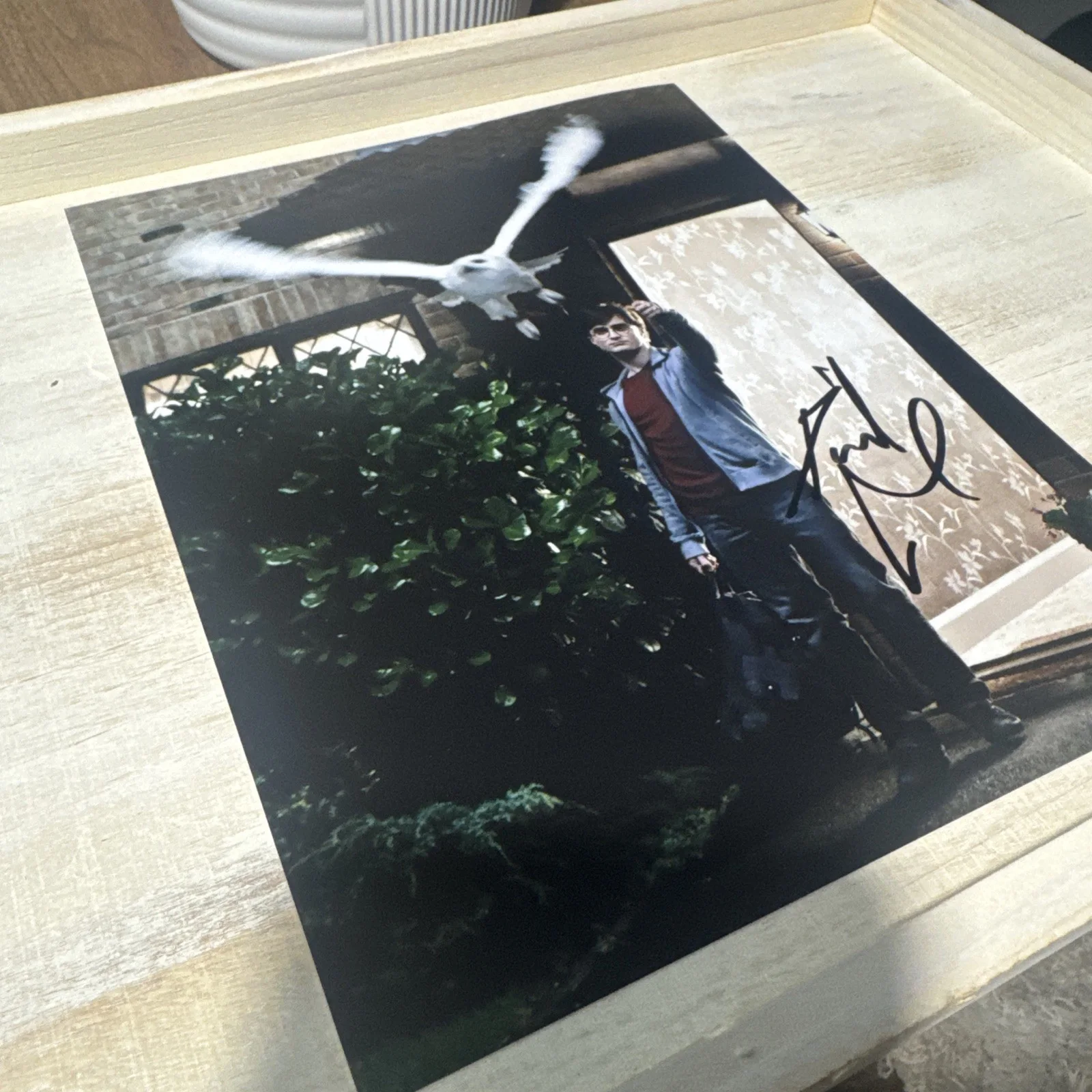 DANIEL RADCLIFFE — DANIEL RADCLIFFE SIGNED AUTOGRAPH "HARRY POTTER" 8x10 RARE PHOTO w/COA Proof !!, изображение 2