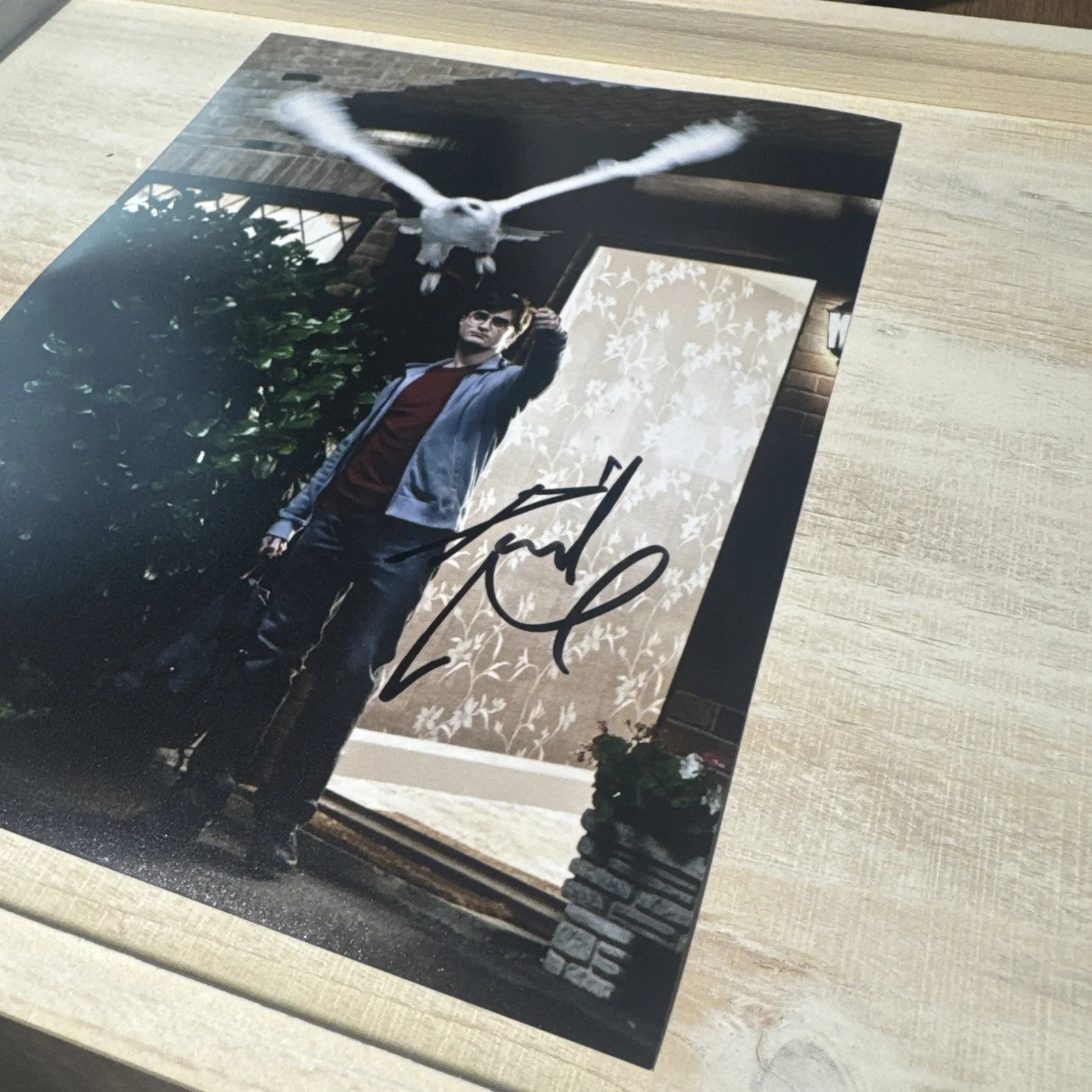 DANIEL RADCLIFFE — DANIEL RADCLIFFE SIGNED AUTOGRAPH "HARRY POTTER" 8x10 RARE PHOTO w/COA Proof !!, изображение 3