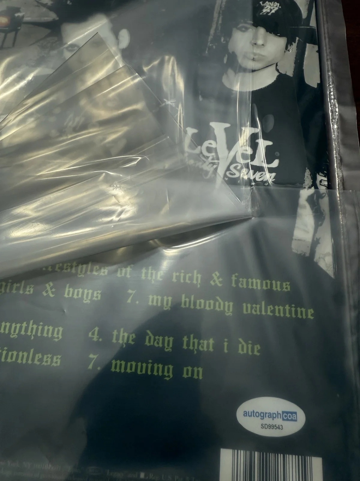 Joel Madden & Benji Madden Signed Good Charlotte Vinyl Album Cover (ACOA), изображение 3