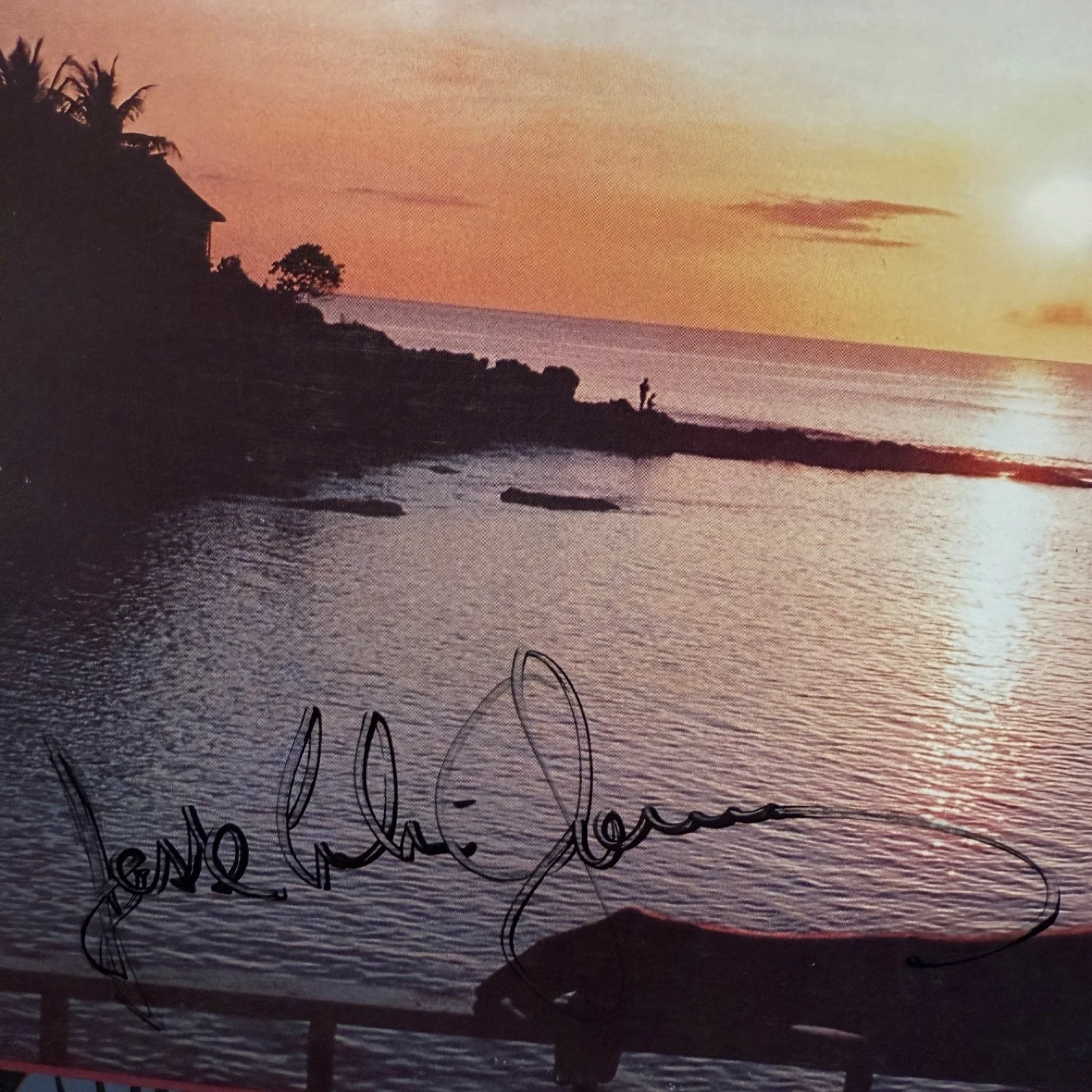 REDUCED! AUTOGRAPHED!! - JESSE COLIN YOUNG "American Dreams" 6E-157 ELEKTRA NM, image 2