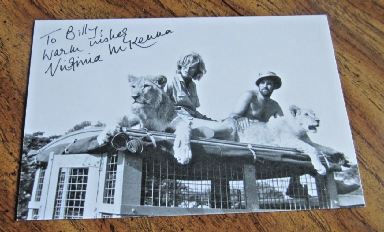 Virginia McKenna — Virginia McKenna Actress Autographed Signed 4X6 Photo "Born Free" Joy Adamson