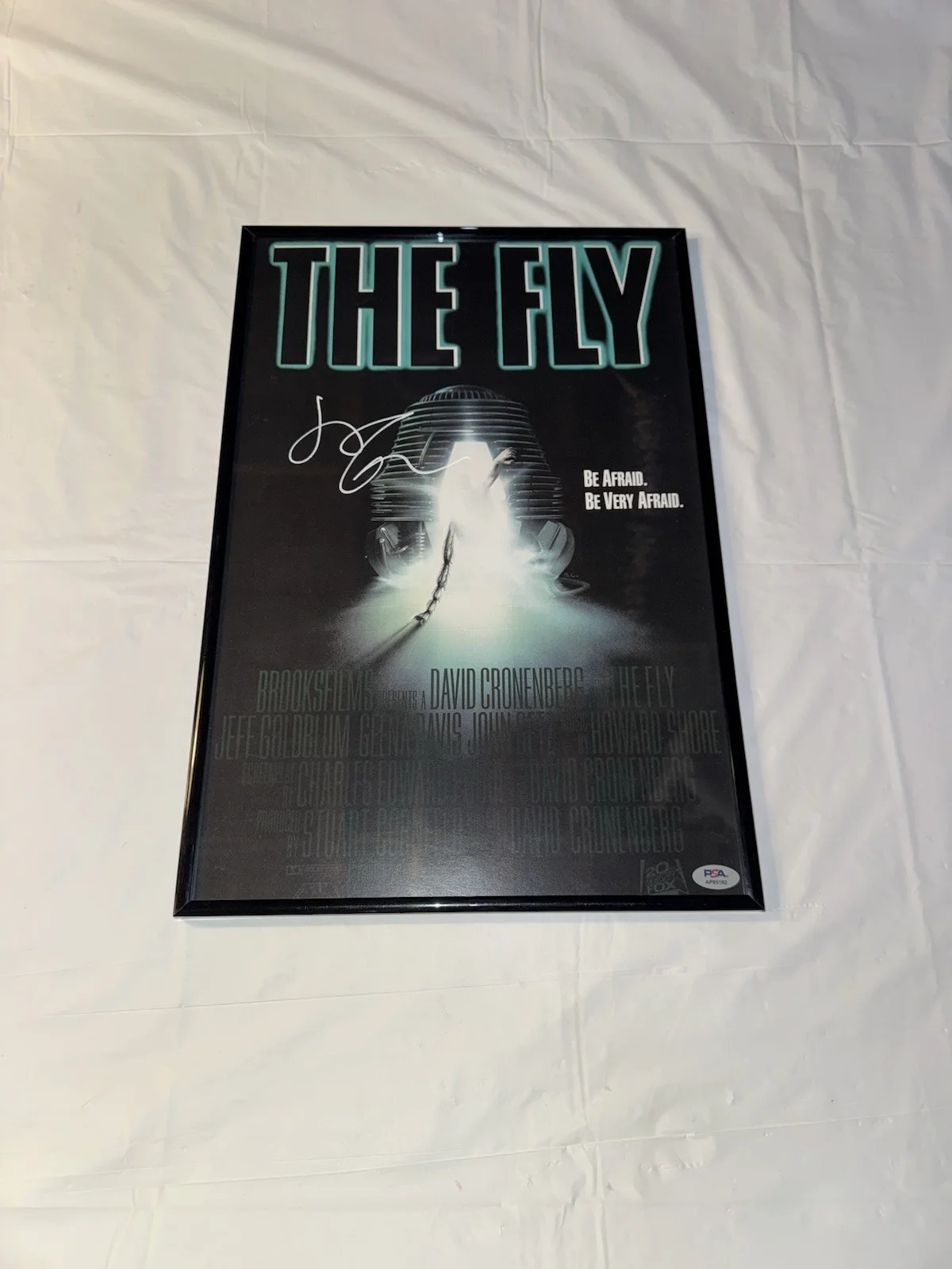 Jeff Goldblum — JEFF GOLDBLUM SIGNED AUTOGRAPH THE FLY MOVIE POSTER 12x18 FRAMED PSA/DNA COA