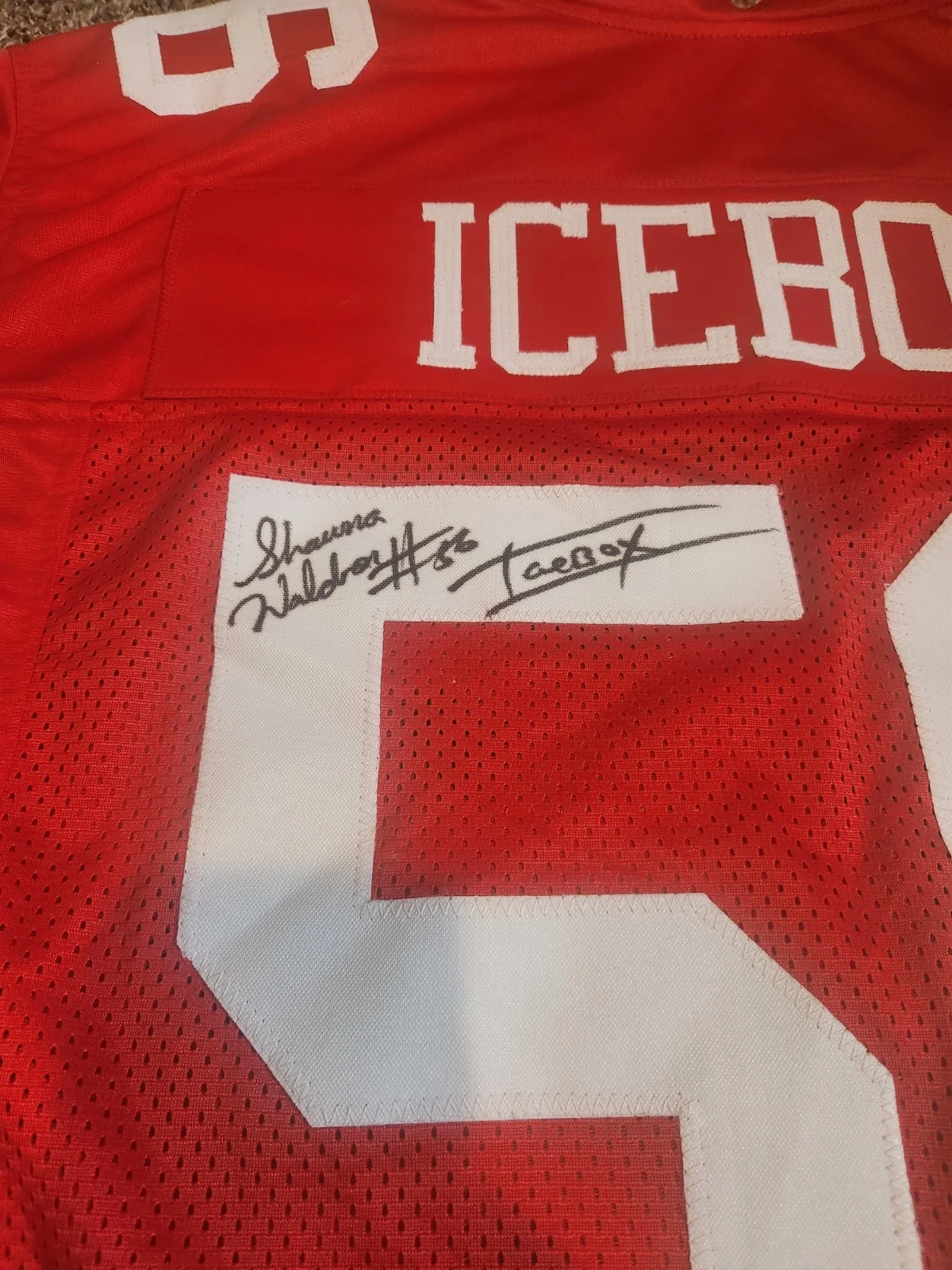 Shawna Waldron — Shawna Waldron Little Giants Icebox Autographed Custom Jersey JSA COA, image 2