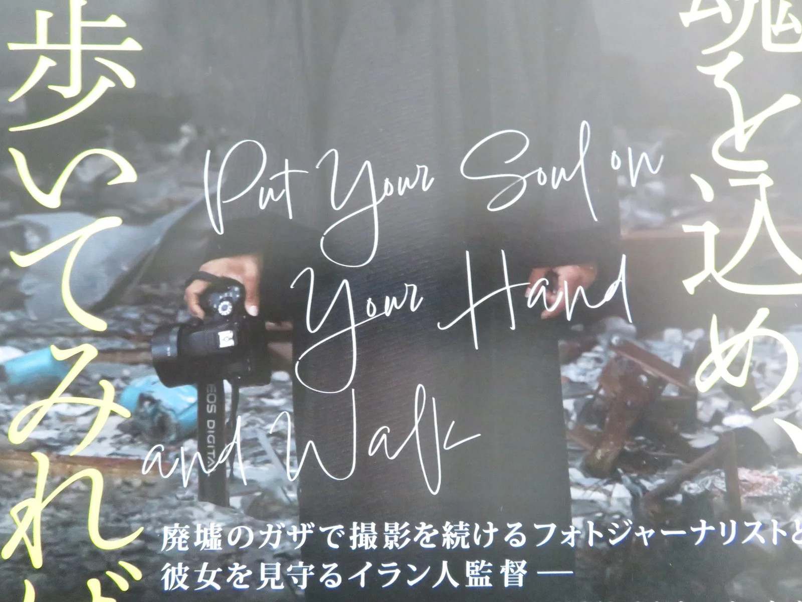 PUT YOUR SOUL ON YOUR HAND AND WALK JAPANESE CHIRASHI (B5) POSTER FARSI 2025, изображение 2