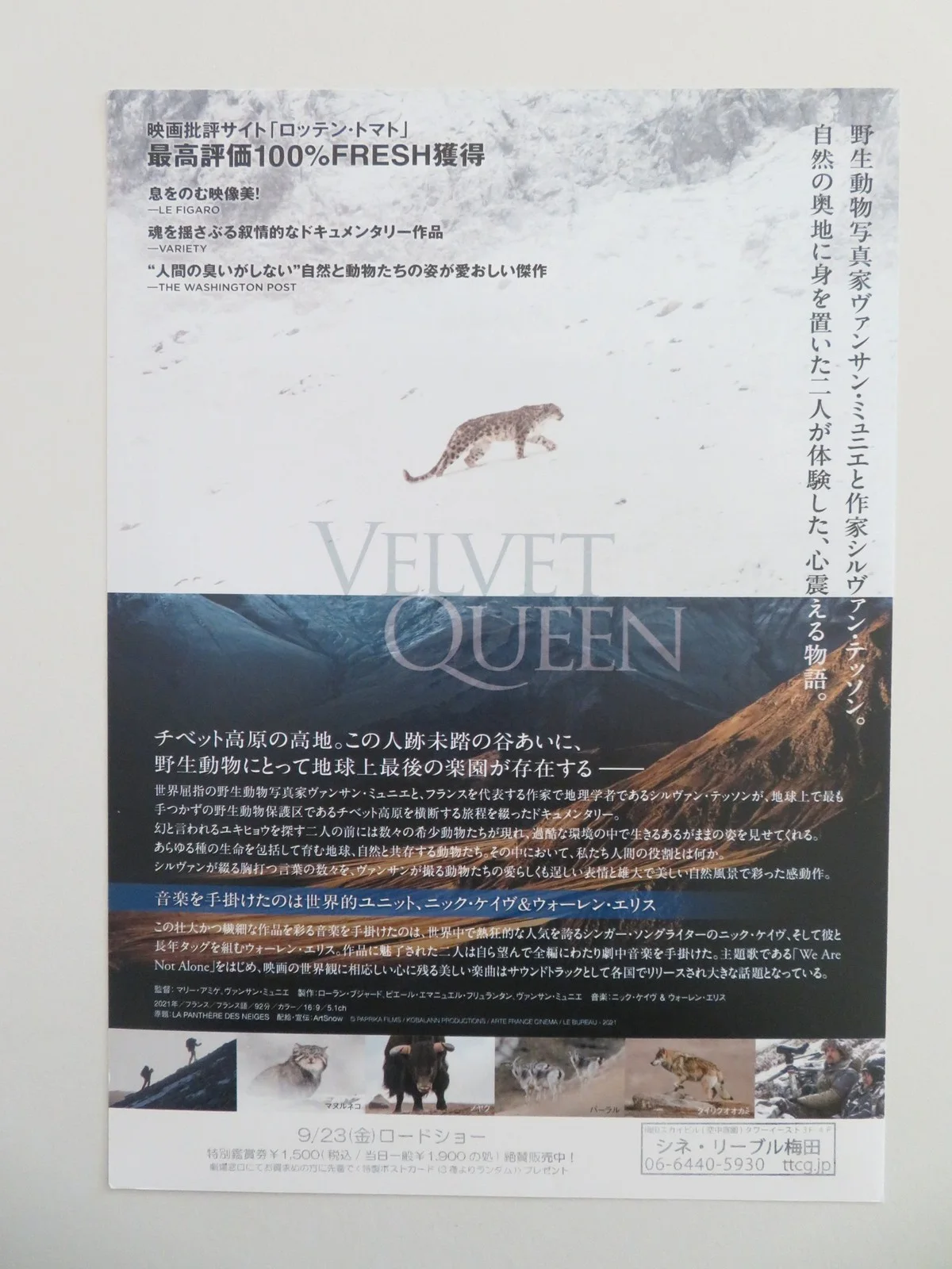 THE VELVET QUEEN JAPANESE CHIRASHI (B5) POSTER MUNIER SYLVAIN TESSON 2021, изображение 3
