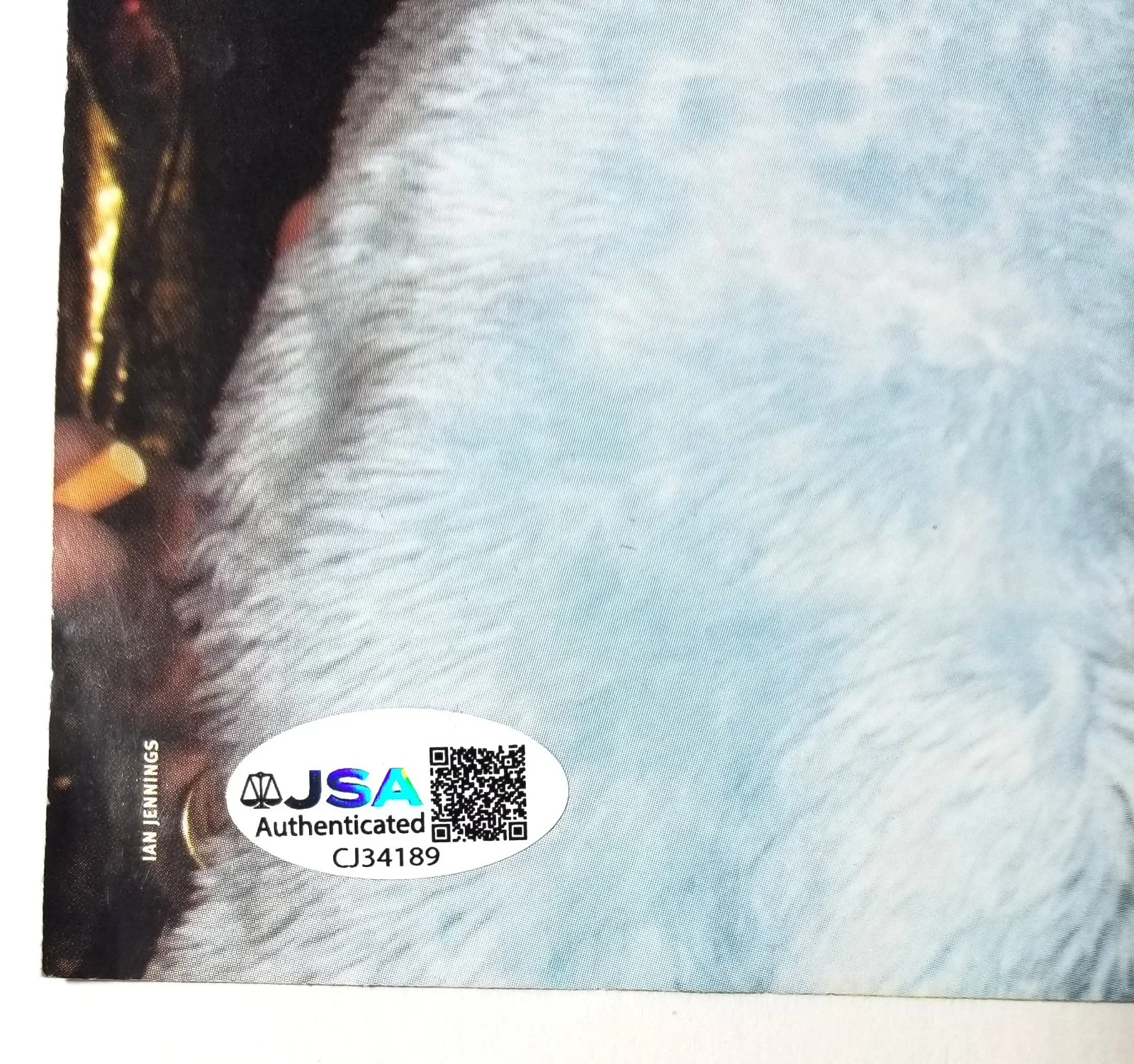 Mark Wilson of JET band REAL hand SIGNED Mag Pinup Photo JSA COA Autographed, изображение 3