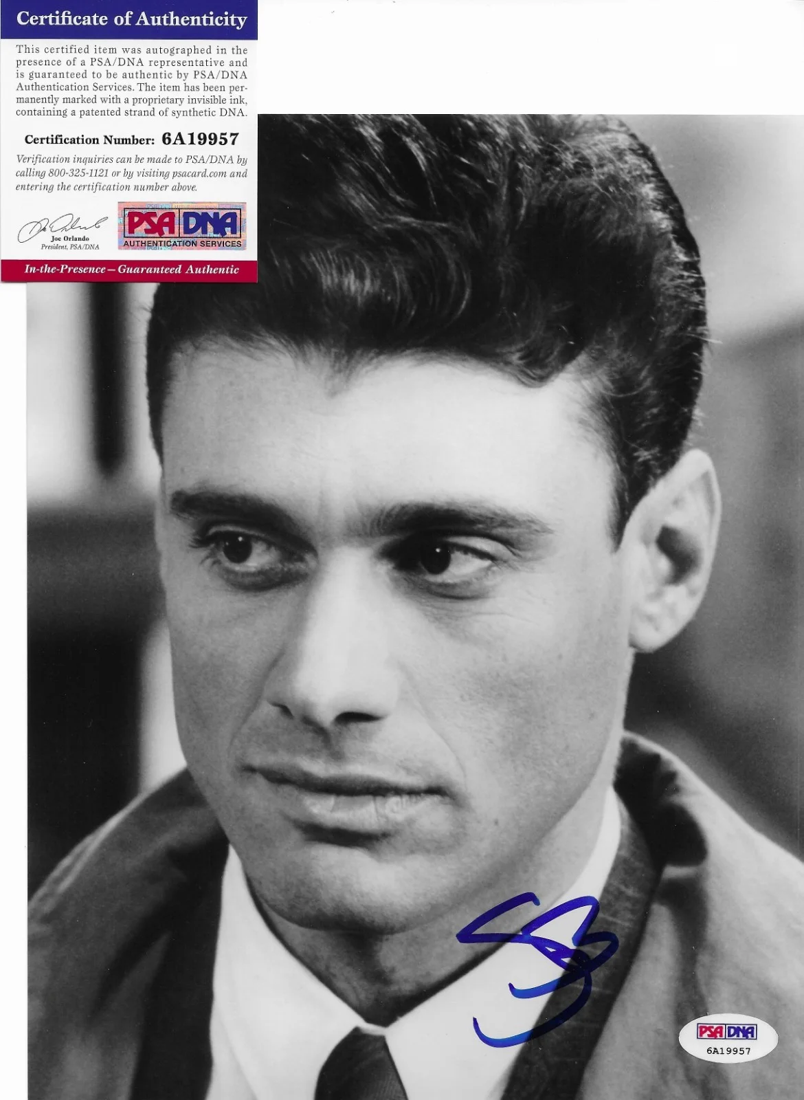Steven Bauer — Steven Bauer Signed 8x10 Photo Autographed PSA/DNA COA ITP Scarface 57, изображение 2