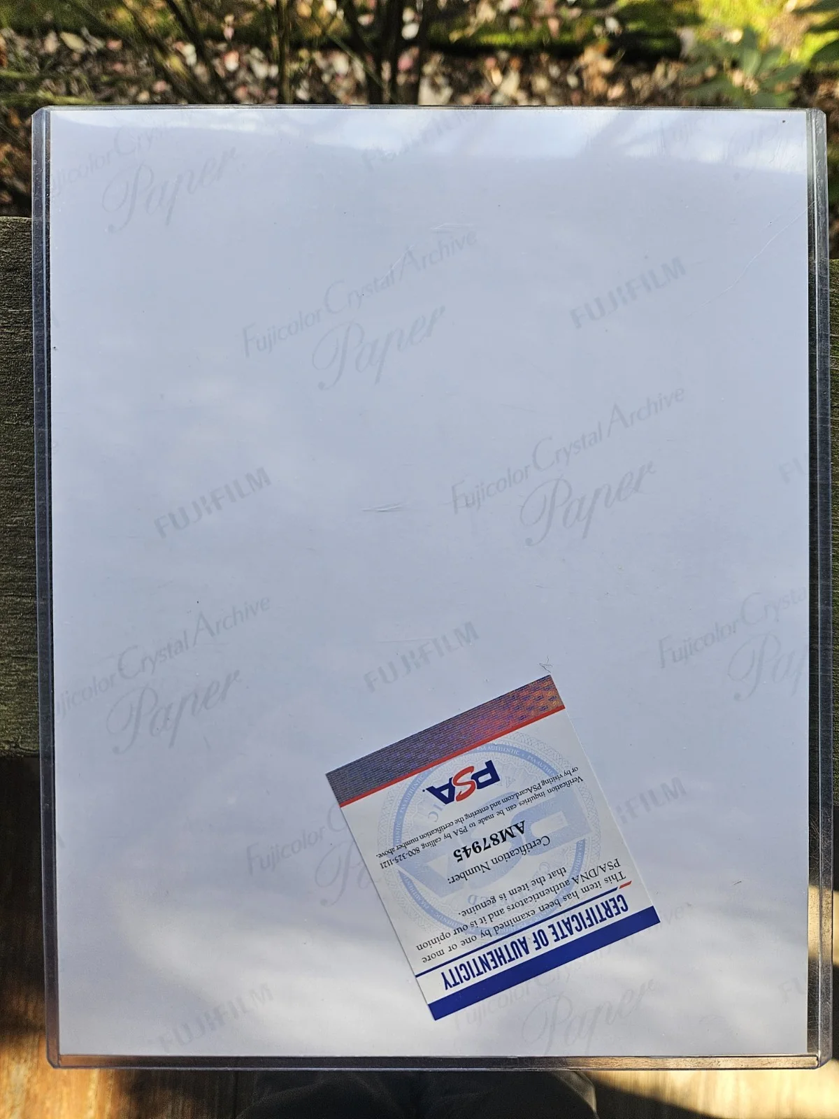 Liv Tyler 8x10 PSA DNA Signed, image 2