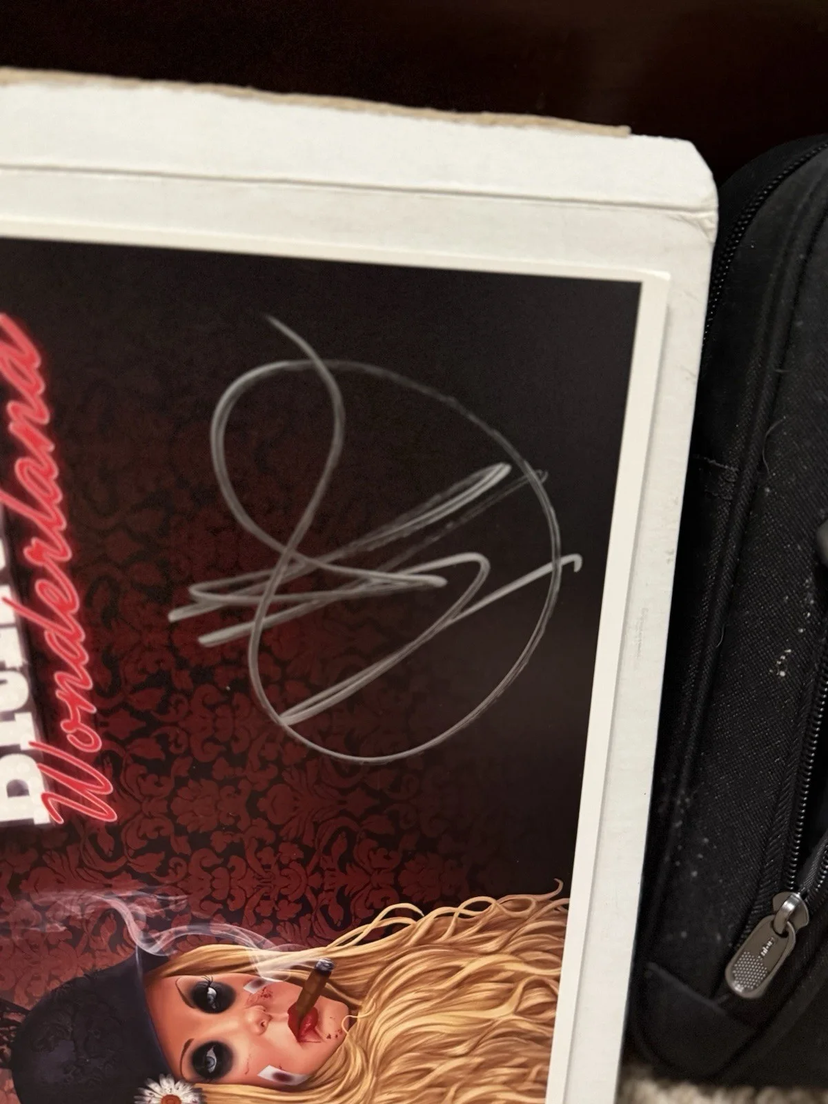 In This Moment Maria Brink Signed Fan Photos BUNDLE With VIP Black Widow Framed, изображение 3
