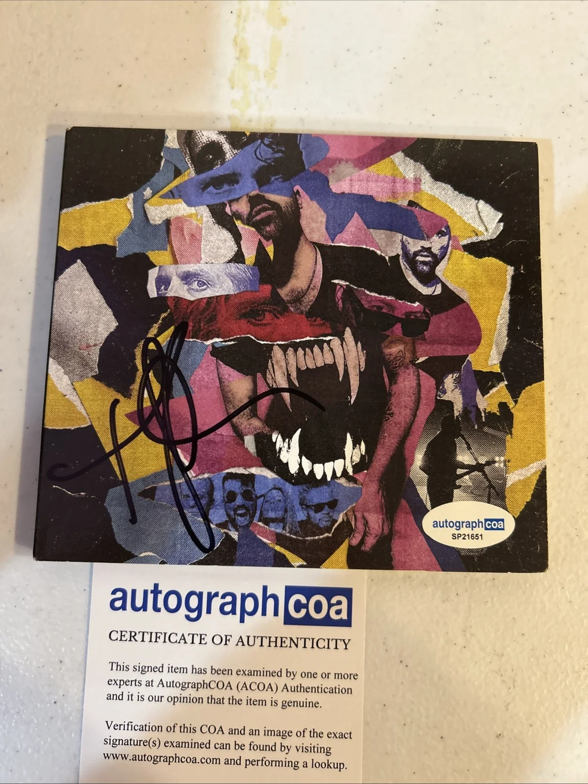 TYLER GLENN NEON TREES SIGNED AUTOGRAPH CD SINK YOUR TEETH ACOA, image 3