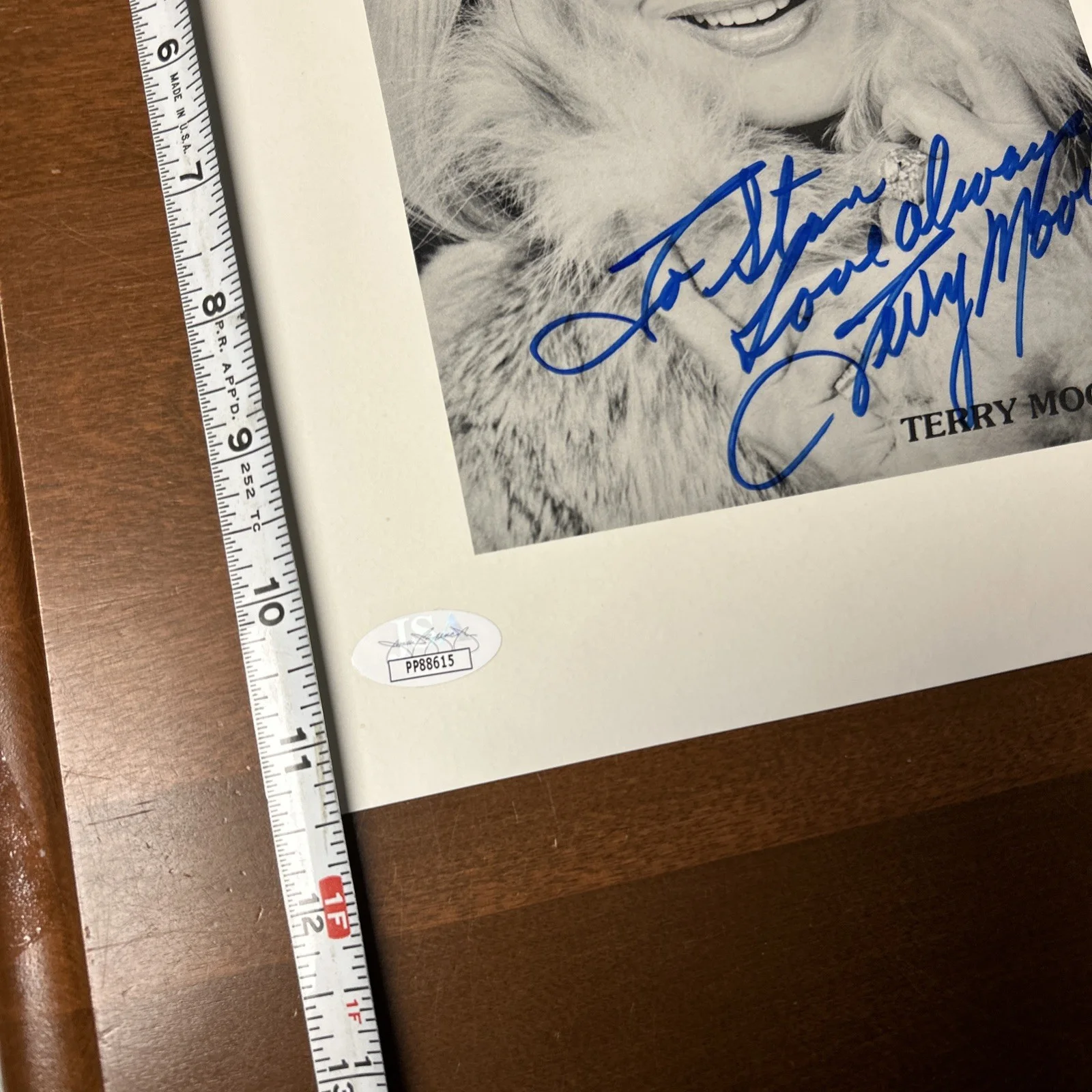 Terry Moore — Terry Moore Signed Photo Promo Sheet Autograph JSA COA, image 2