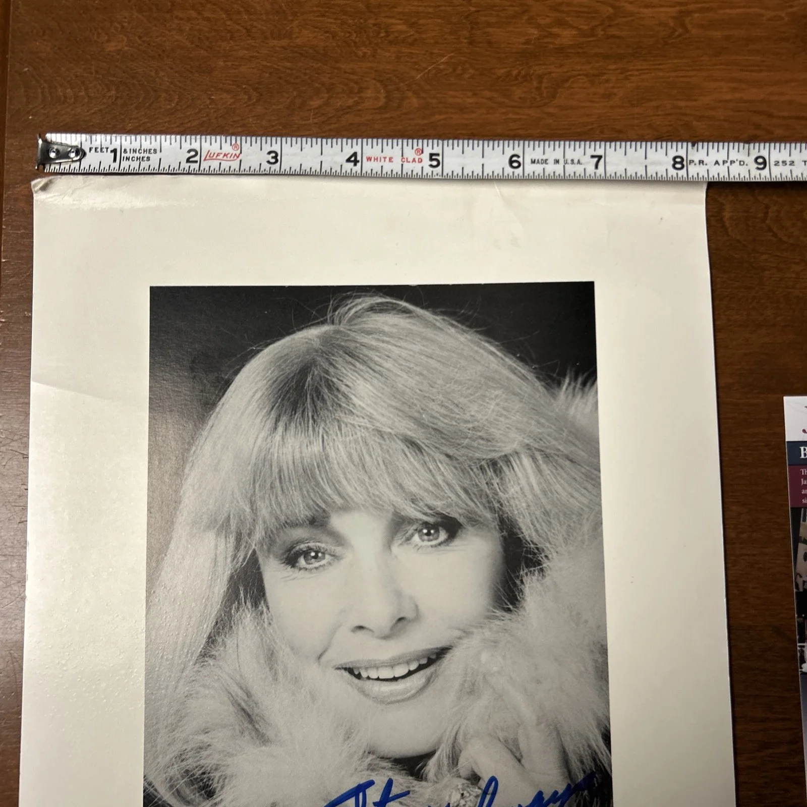 Terry Moore — Terry Moore Signed Photo Promo Sheet Autograph JSA COA, image 3