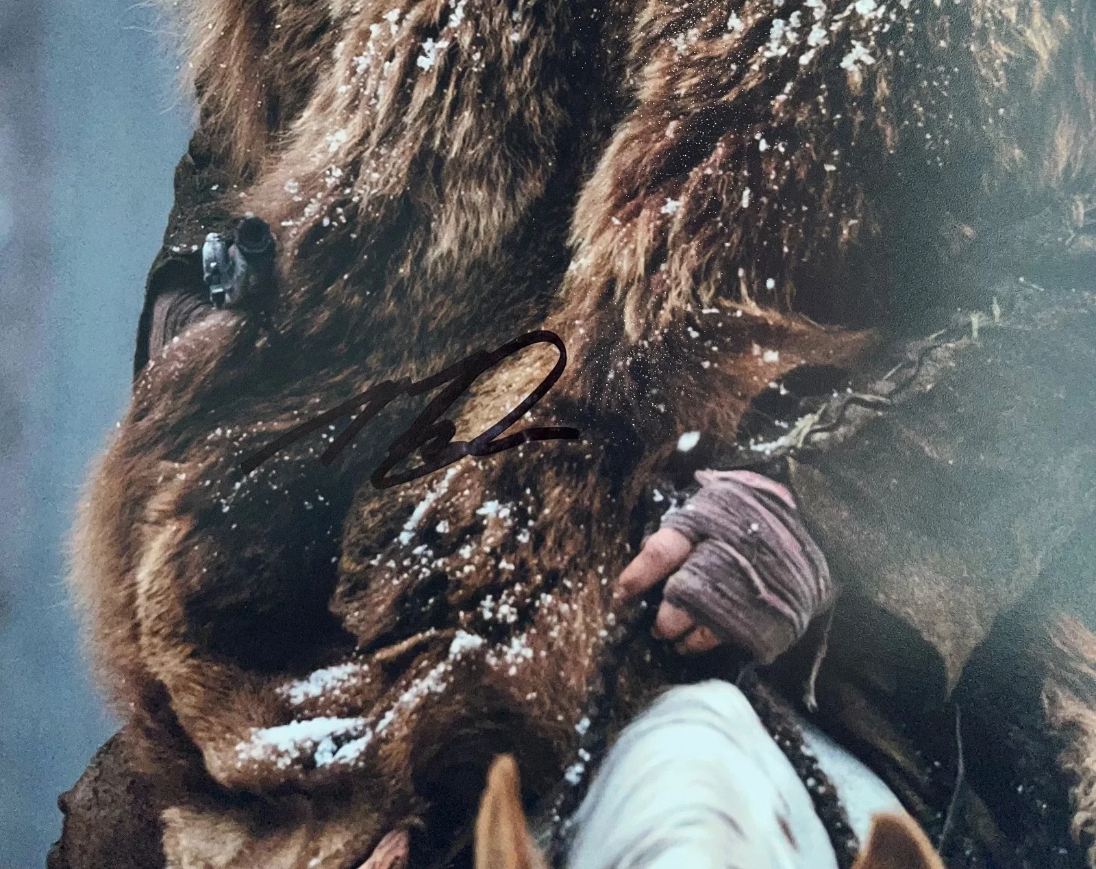 LEONARDO DICAPRIO THE REVENANT SIGNED AUTOGRAPHED 11X14 PHOTO COA, image 2