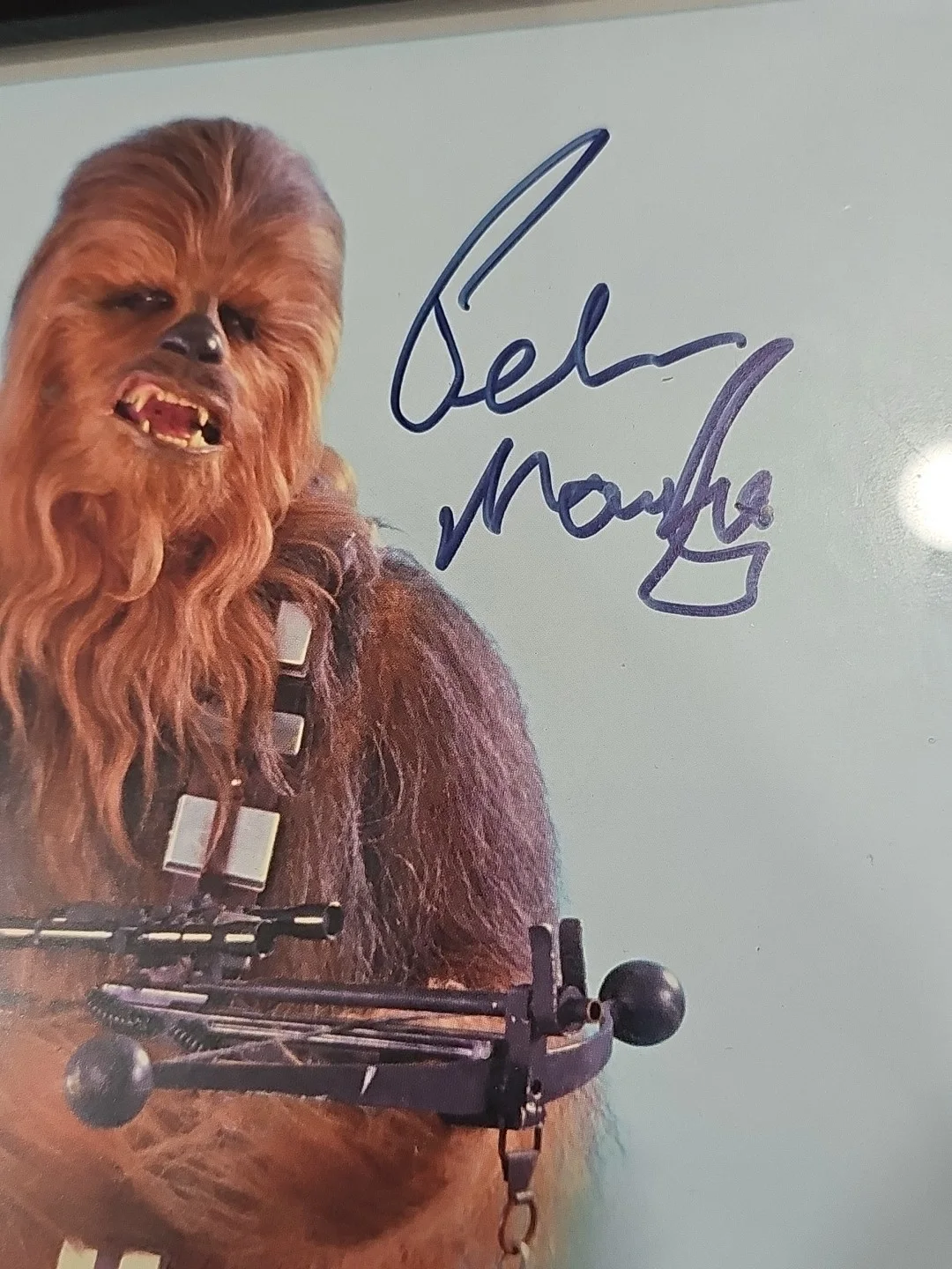 Peter Mayhew — Peter Mayhew Chewbacca Star Wars ESB Signed 8x10 Autographed Official Pix OPX, изображение 2
